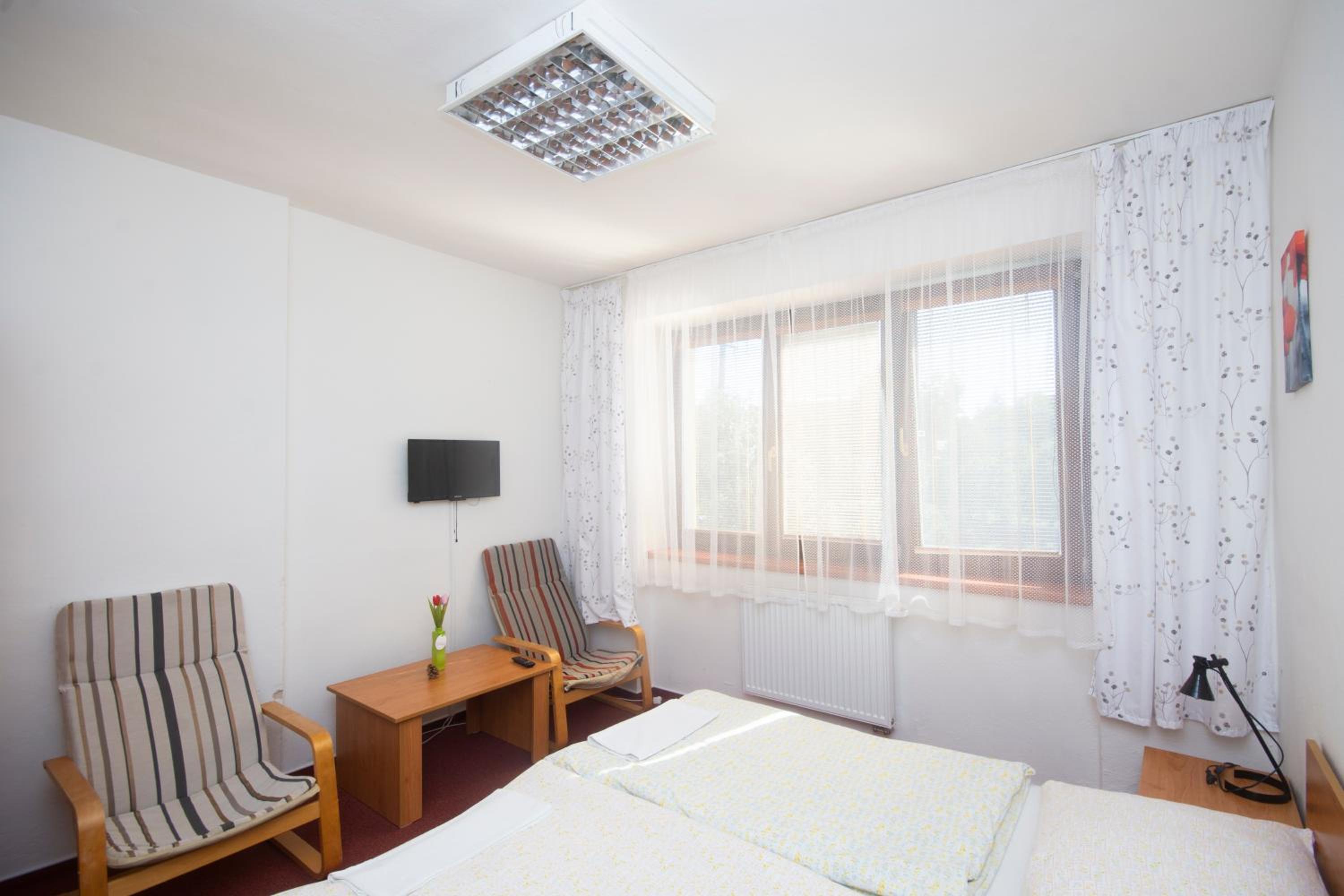 Twin Room photo 3