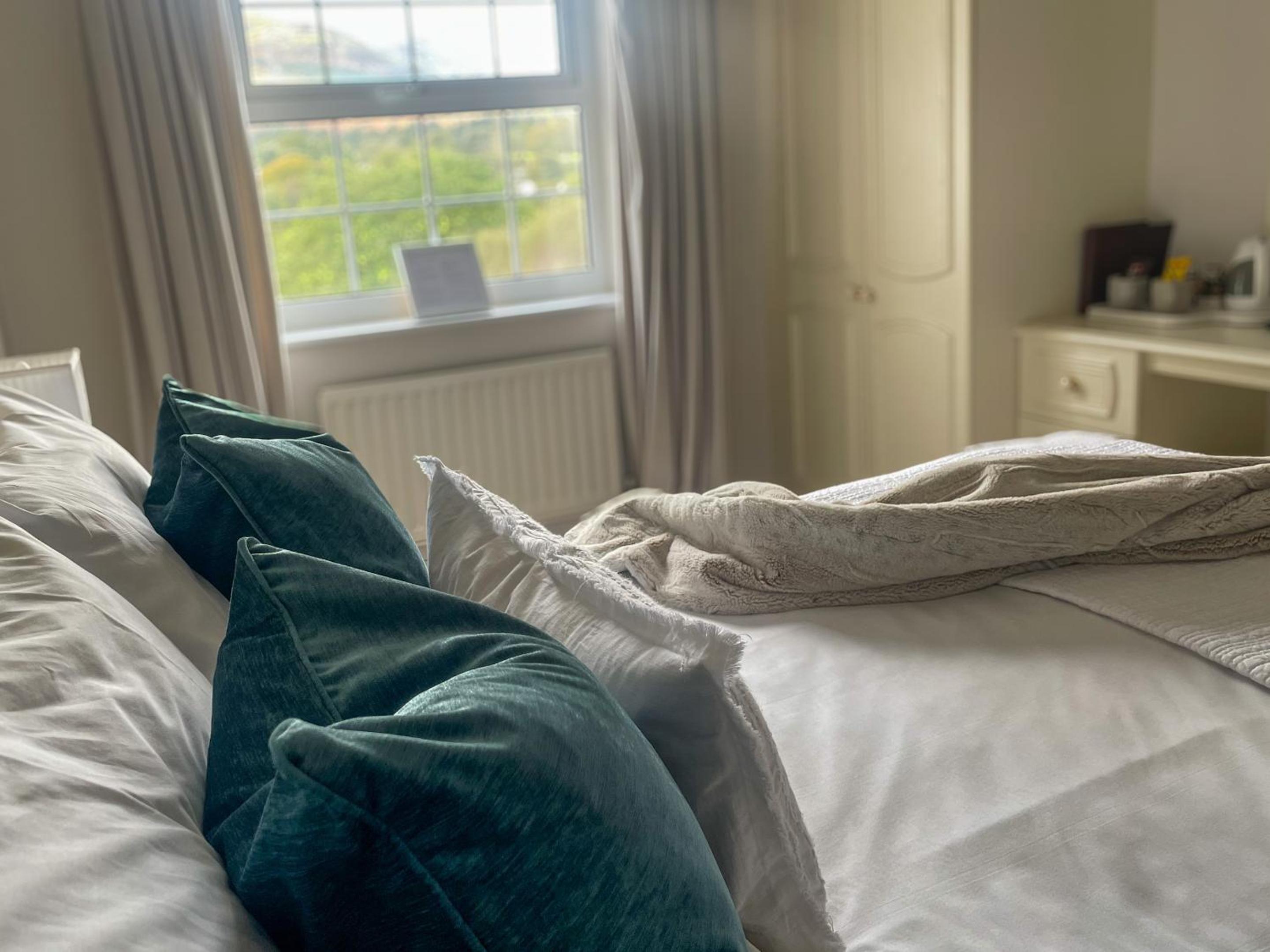 Double Room with Mountain View