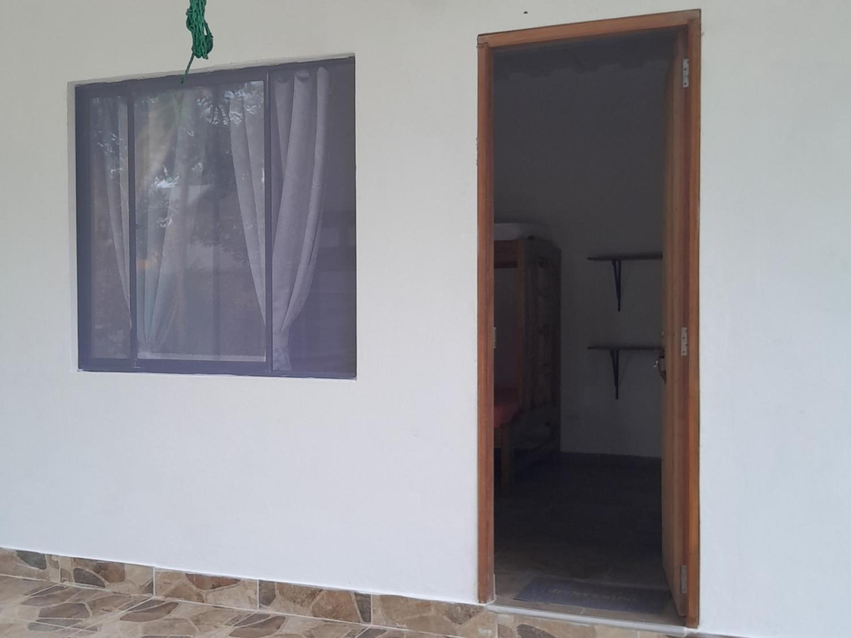 Twin Room photo 3