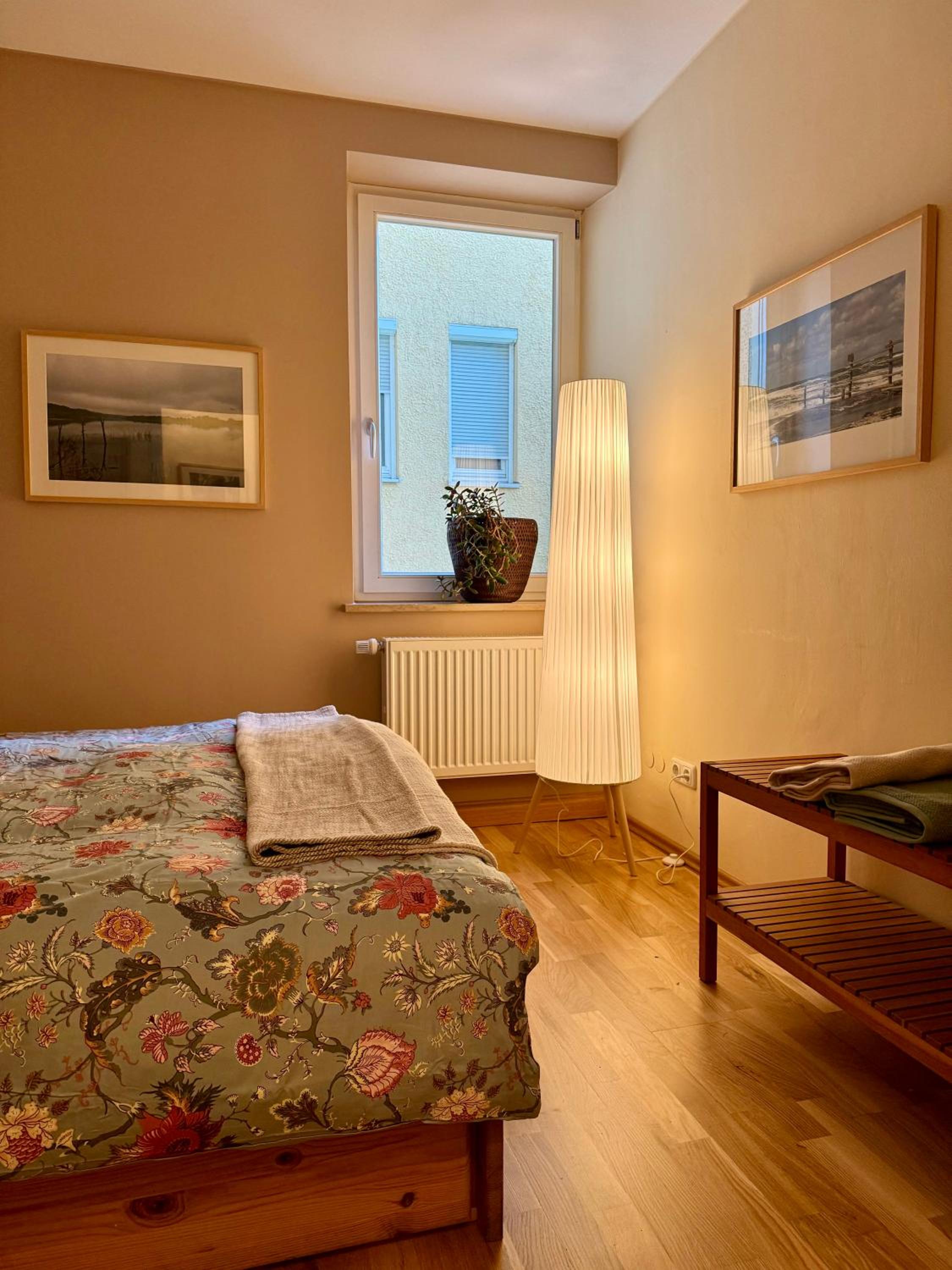 One-Bedroom Apartment photo 3