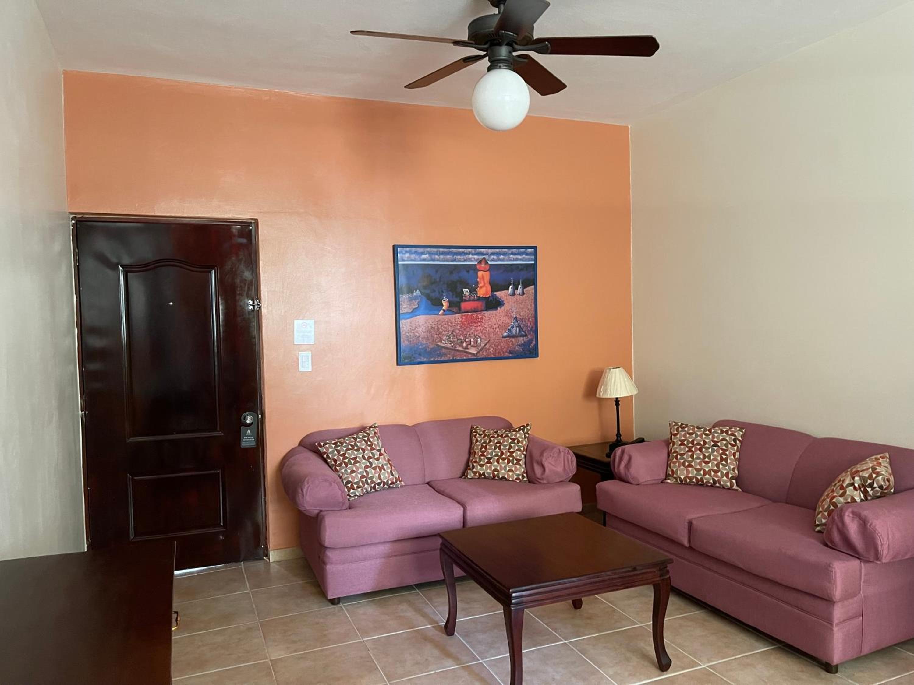 One-Bedroom Deluxe Apartment - Photo 4