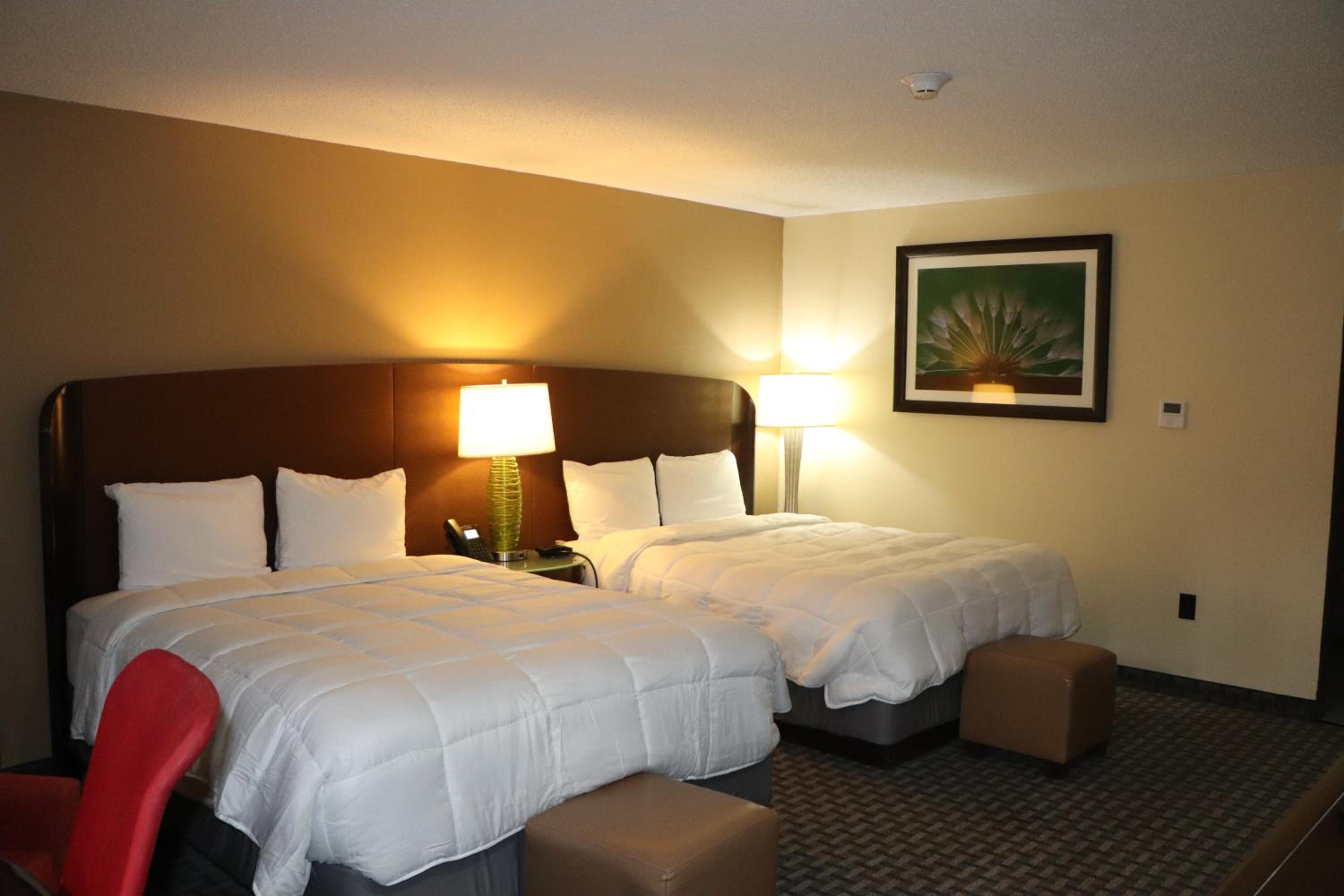 Queen Room photo 3