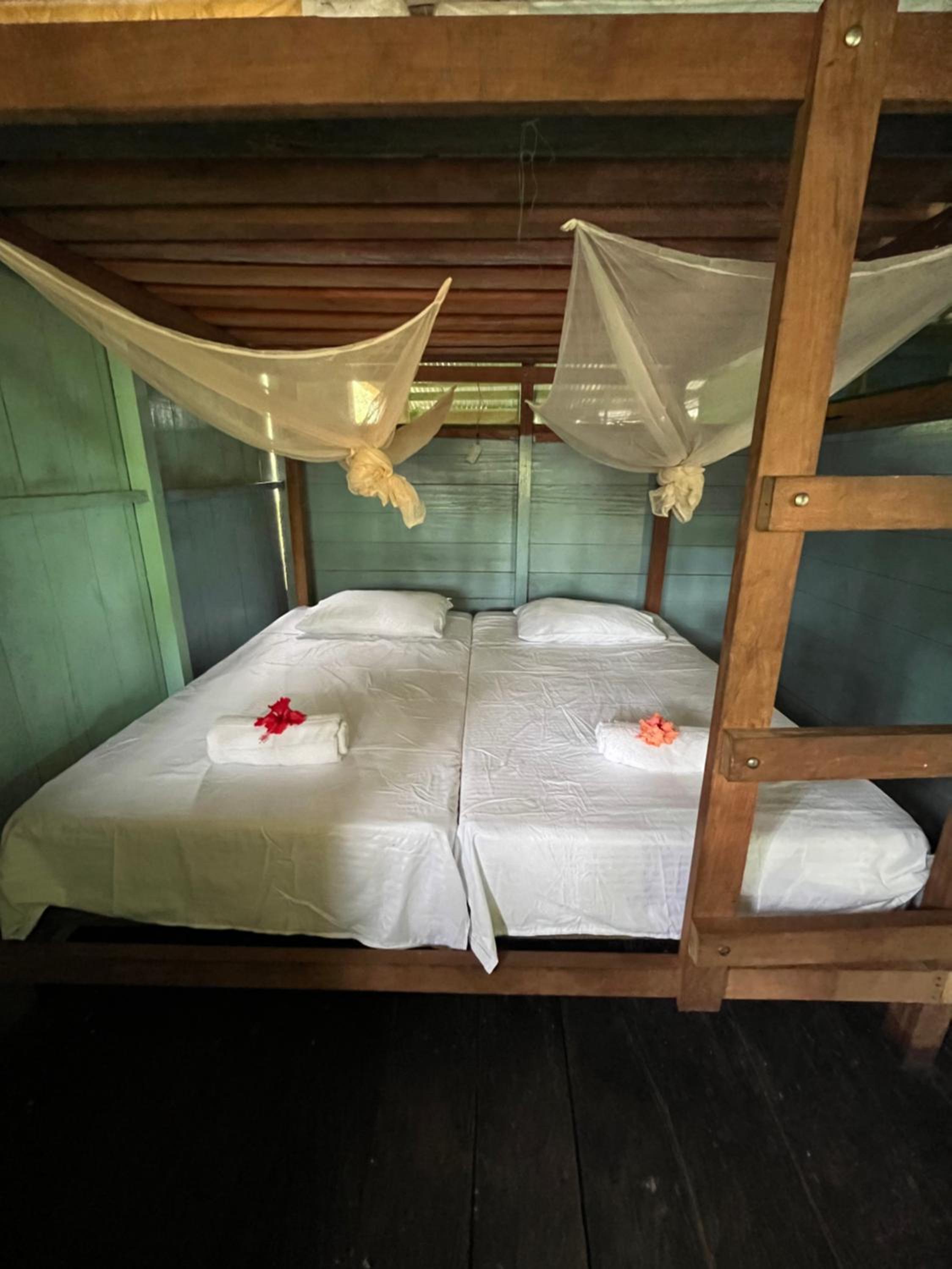 Double or Twin Room photo 2