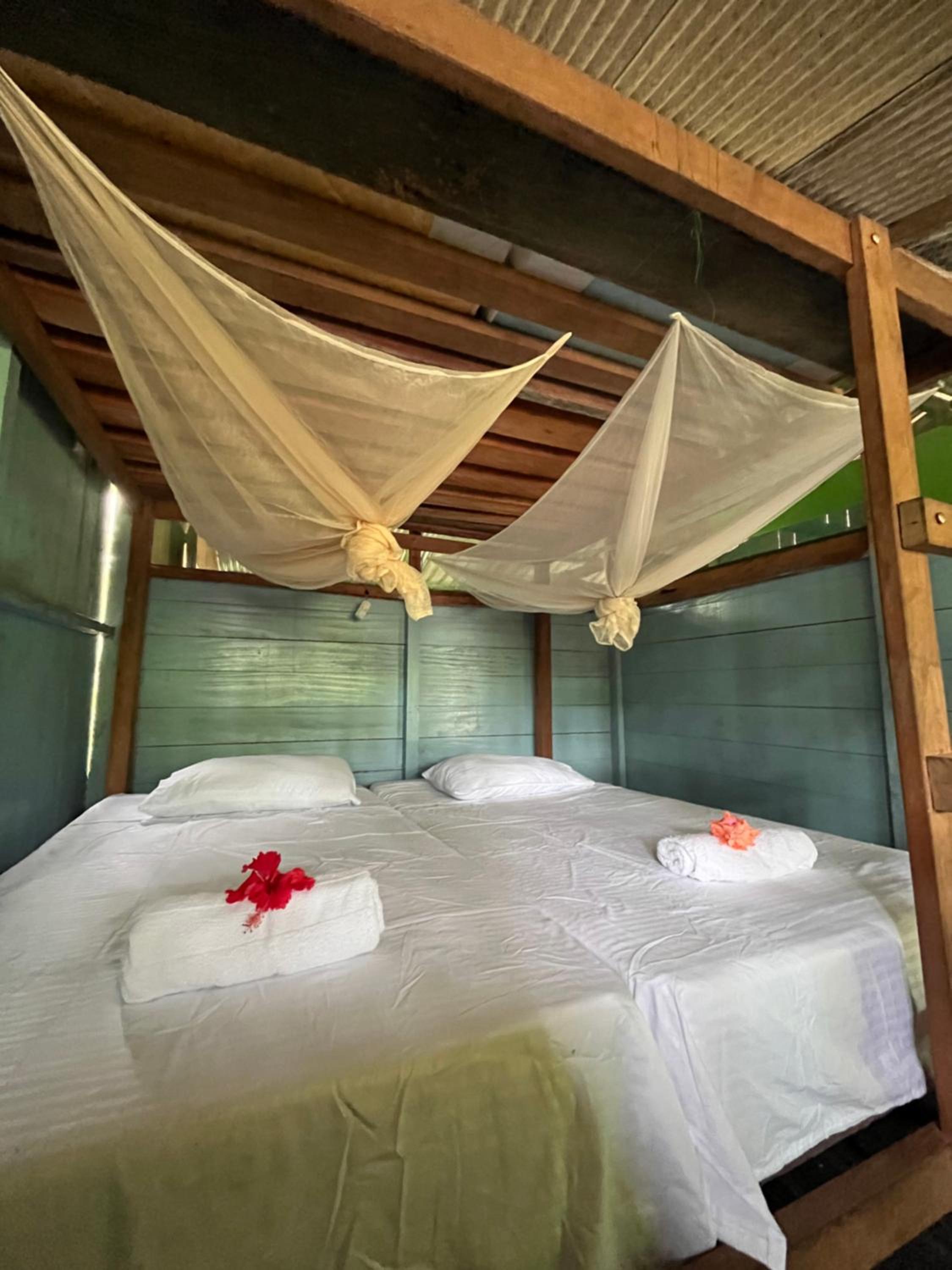Double or Twin Room photo 3