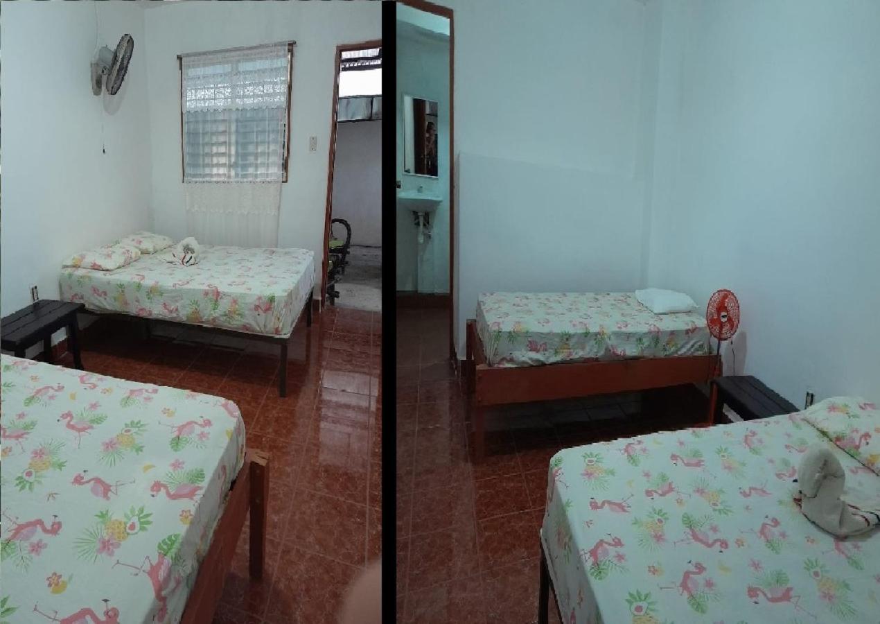 Triple Room photo 2