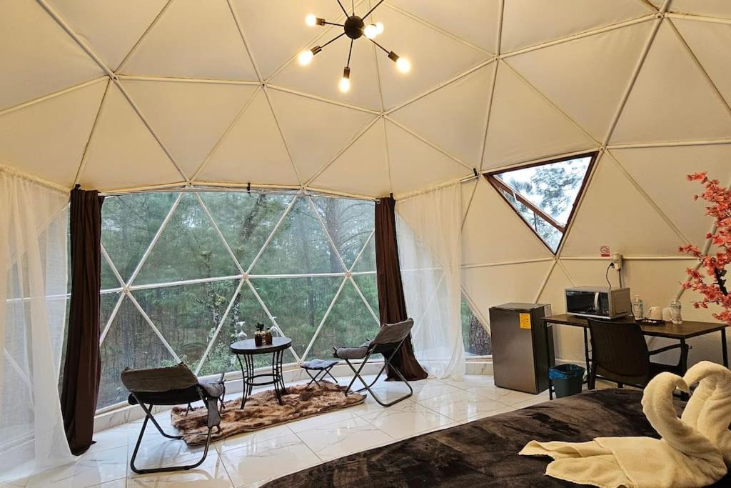 One-Bedroom House photo 1