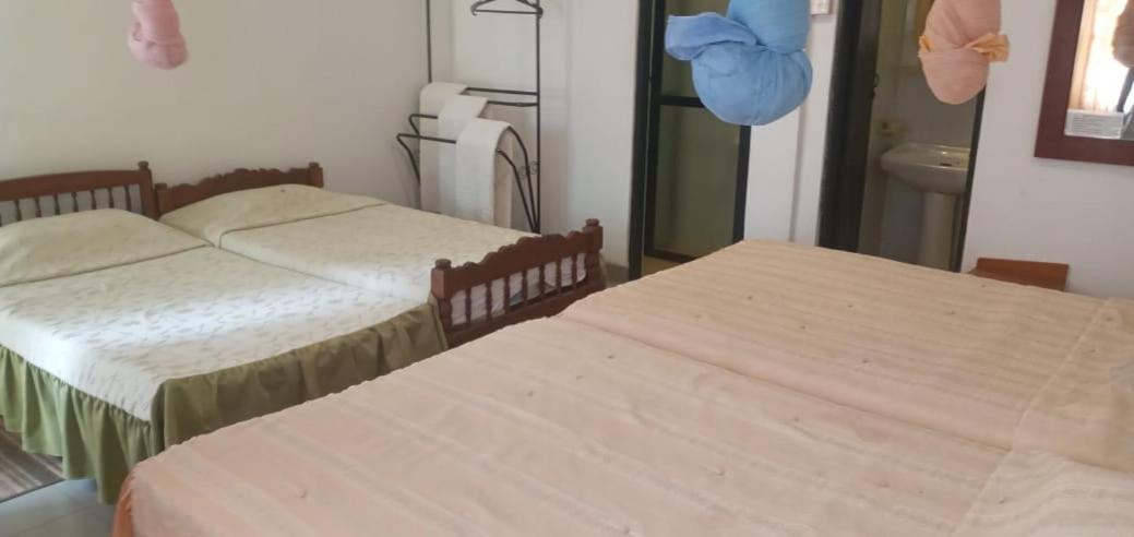 4-Bed Female Dormitory Room photo 1