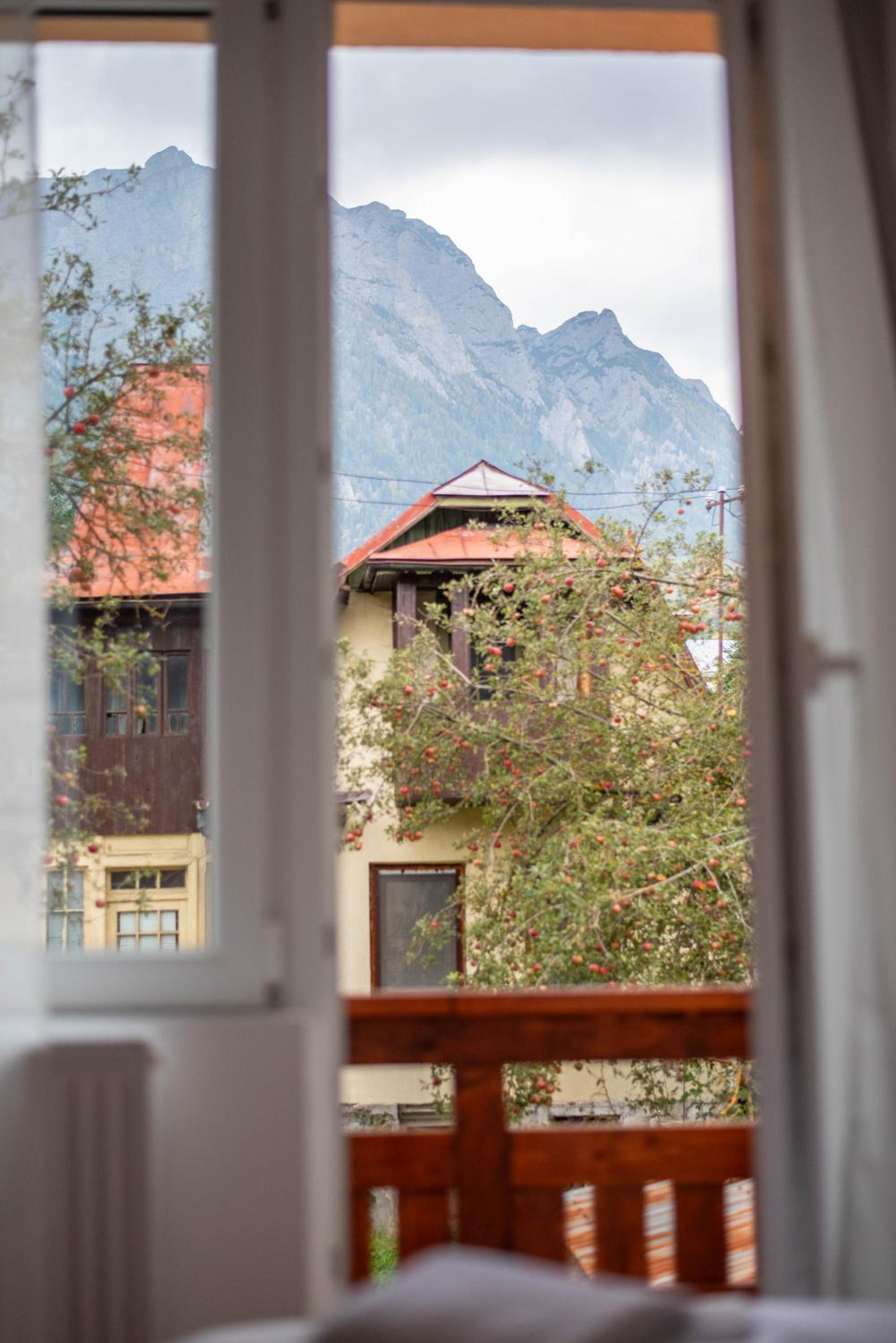 Family Room with Mountain View - Photo 7
