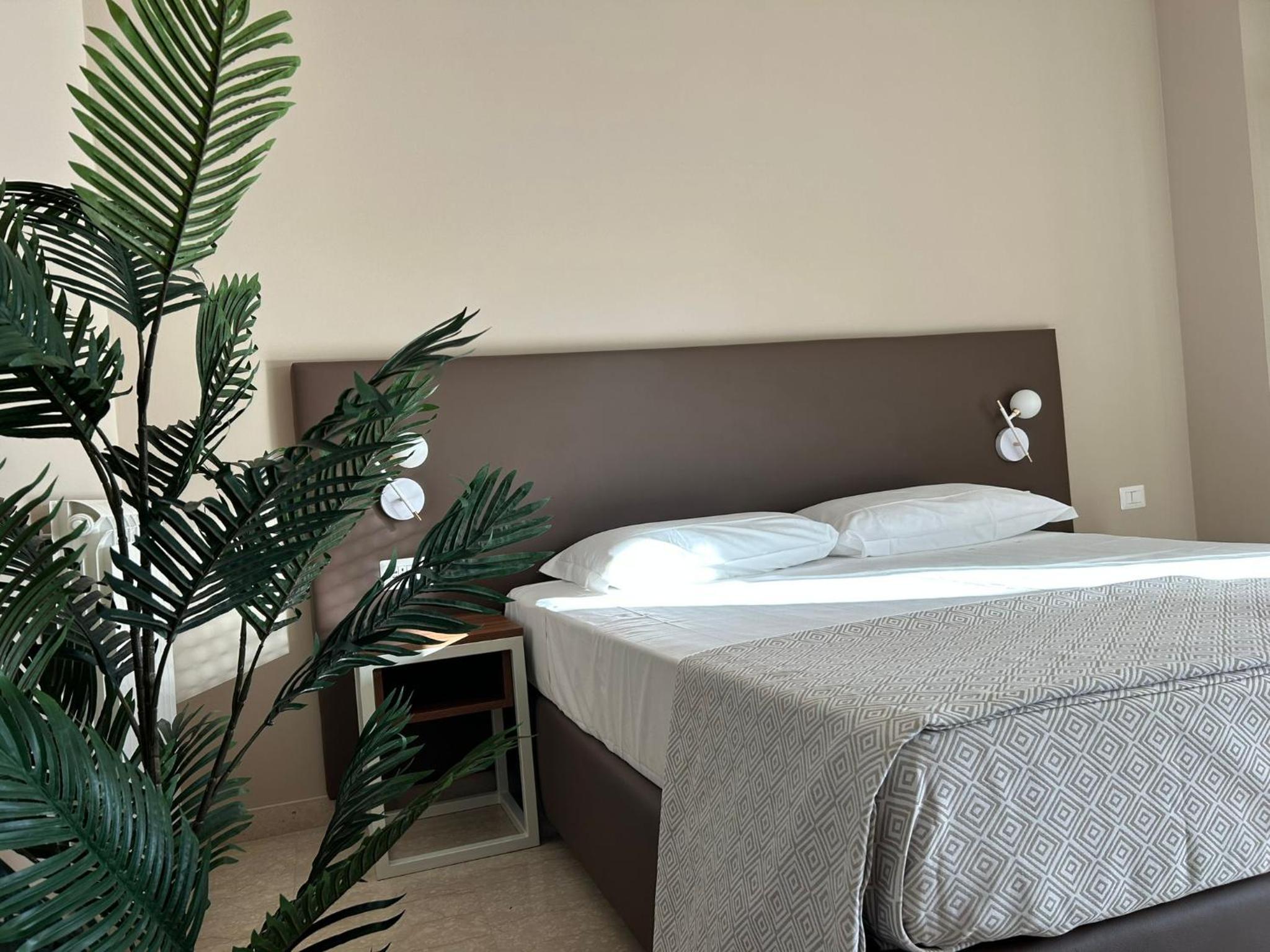 Superior Single Room photo 3