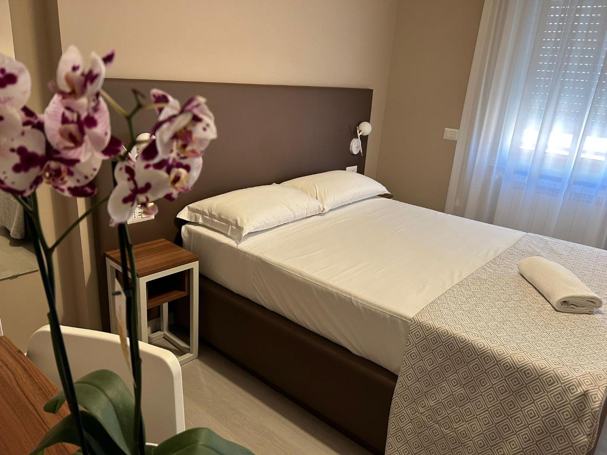 Superior Single Room photo 1