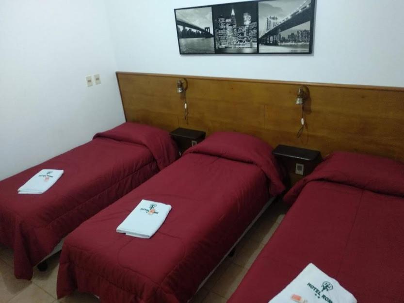 Superior Triple Room photo 1