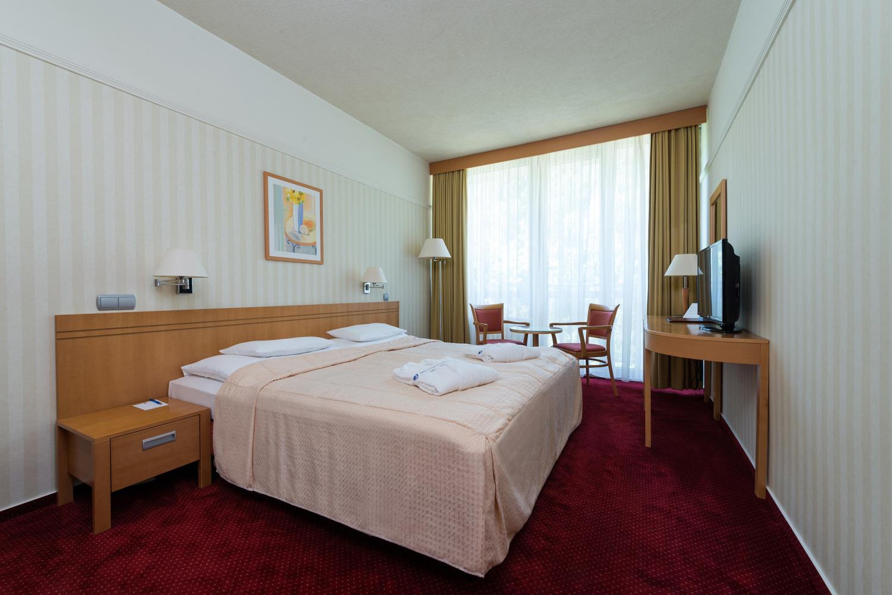 Standard Room with Wellness Access /Alameda wing/ - Photo 1