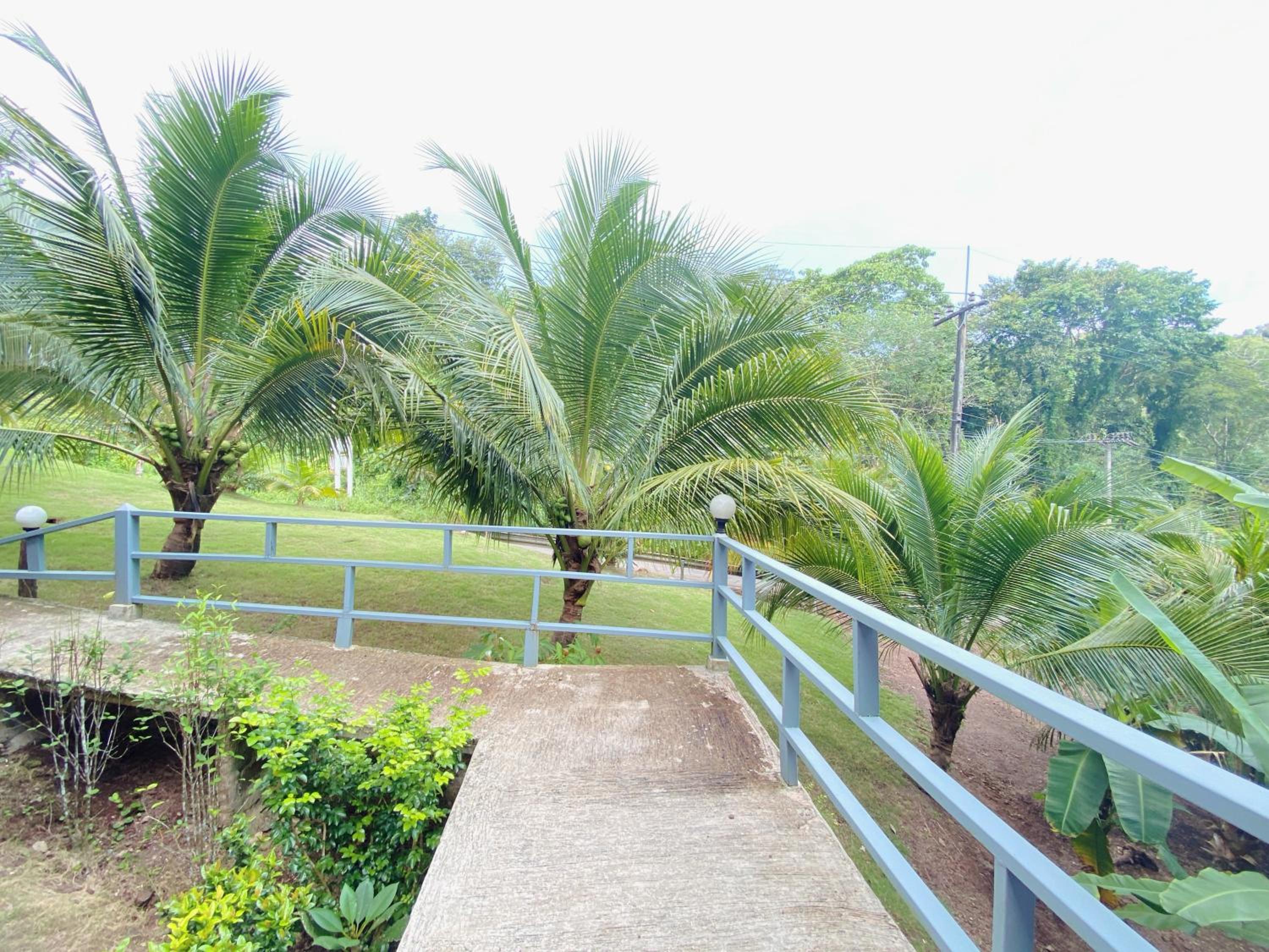 Bungalow with Patio - Photo 6