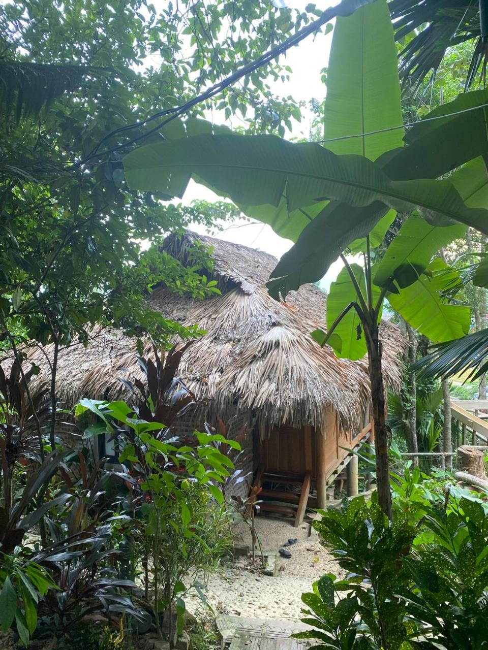 Deluxe Bungalow photo 3