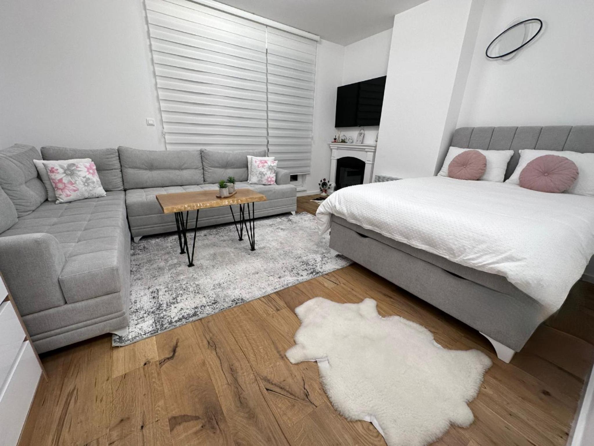 Standard Apartment photo 1