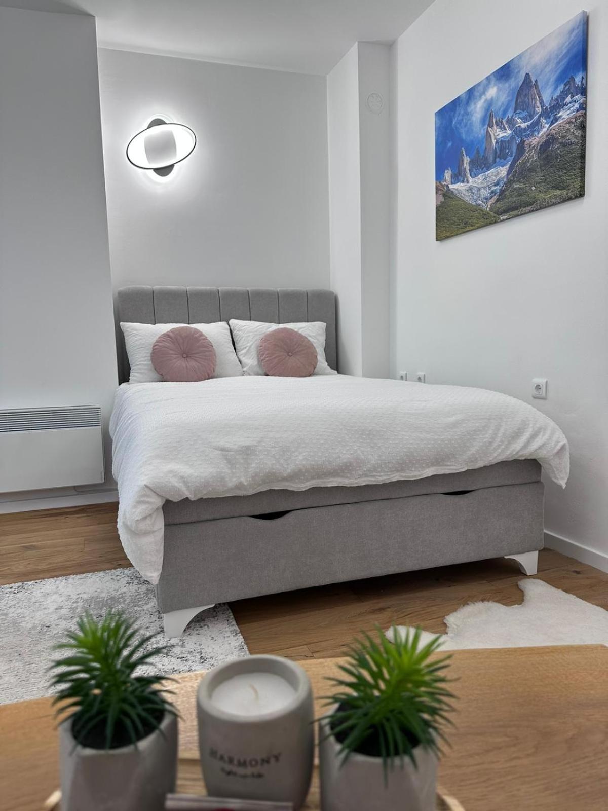 Standard Apartment photo 3