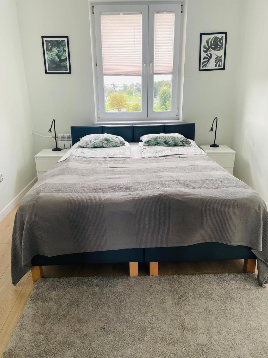 One-Bedroom Apartment photo 3