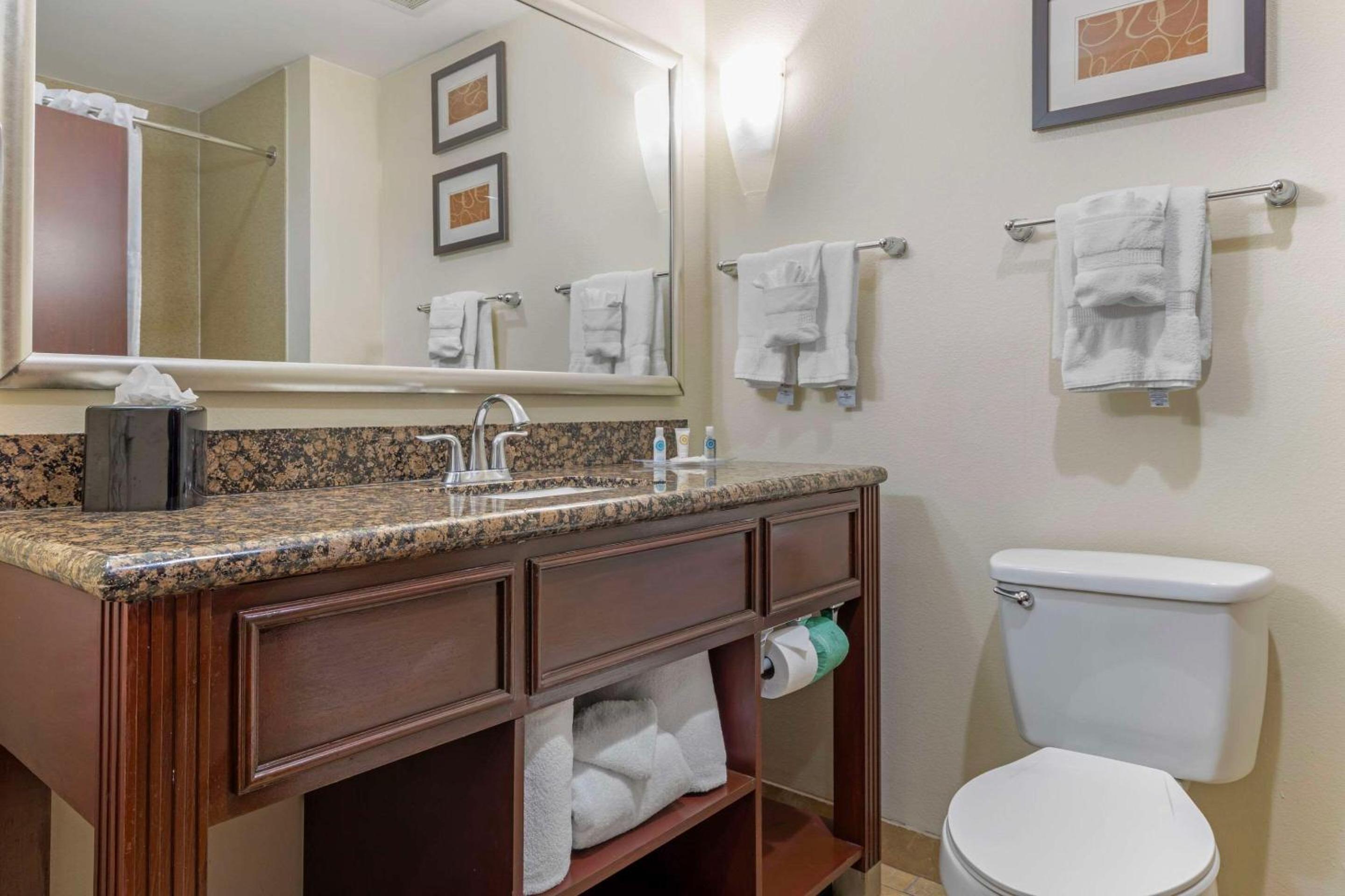 King Suite - Non-Smoking - Photo 5