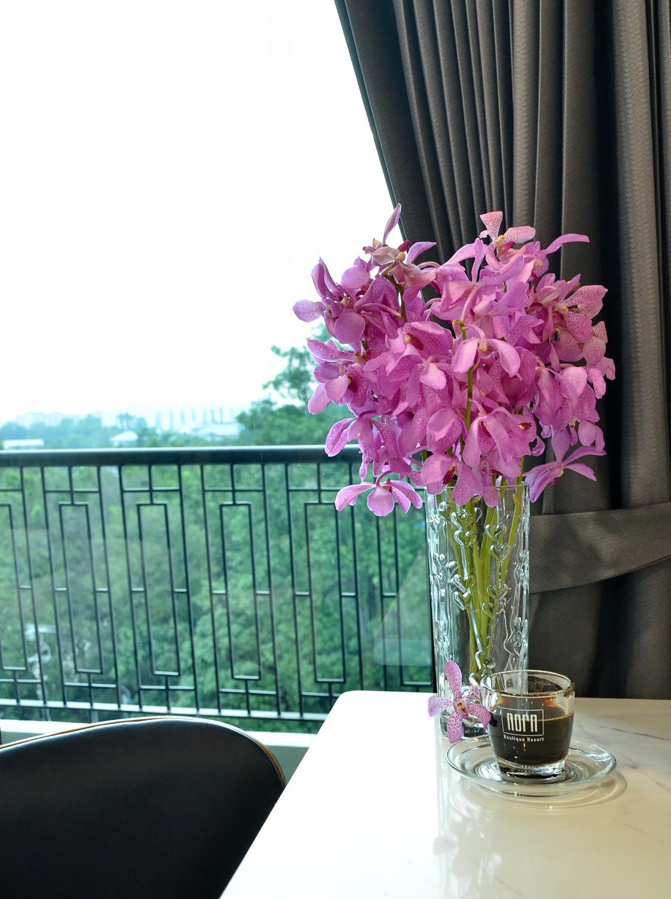 Superior King Room with City View photo 3