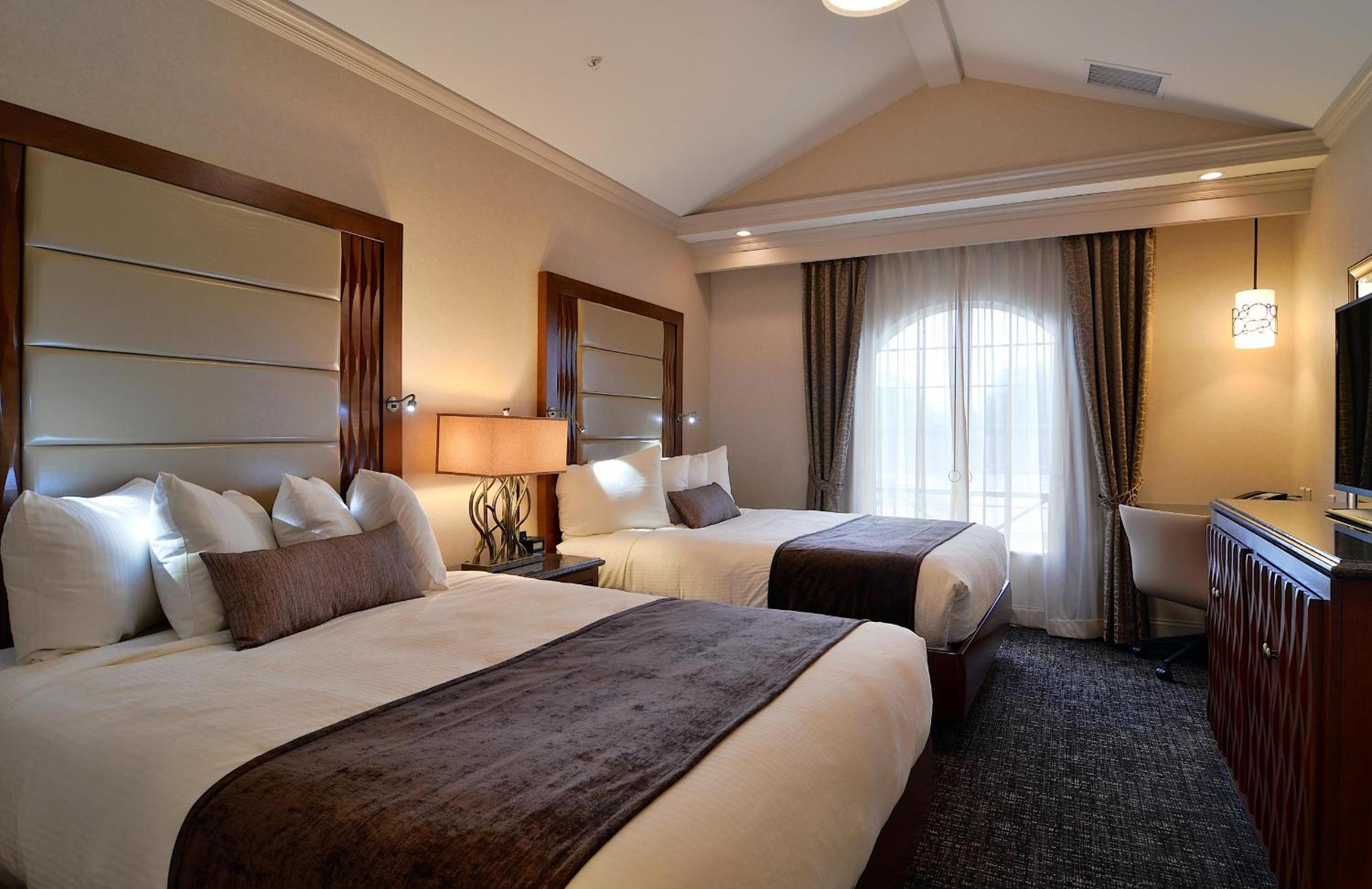 Suite - Photo 2