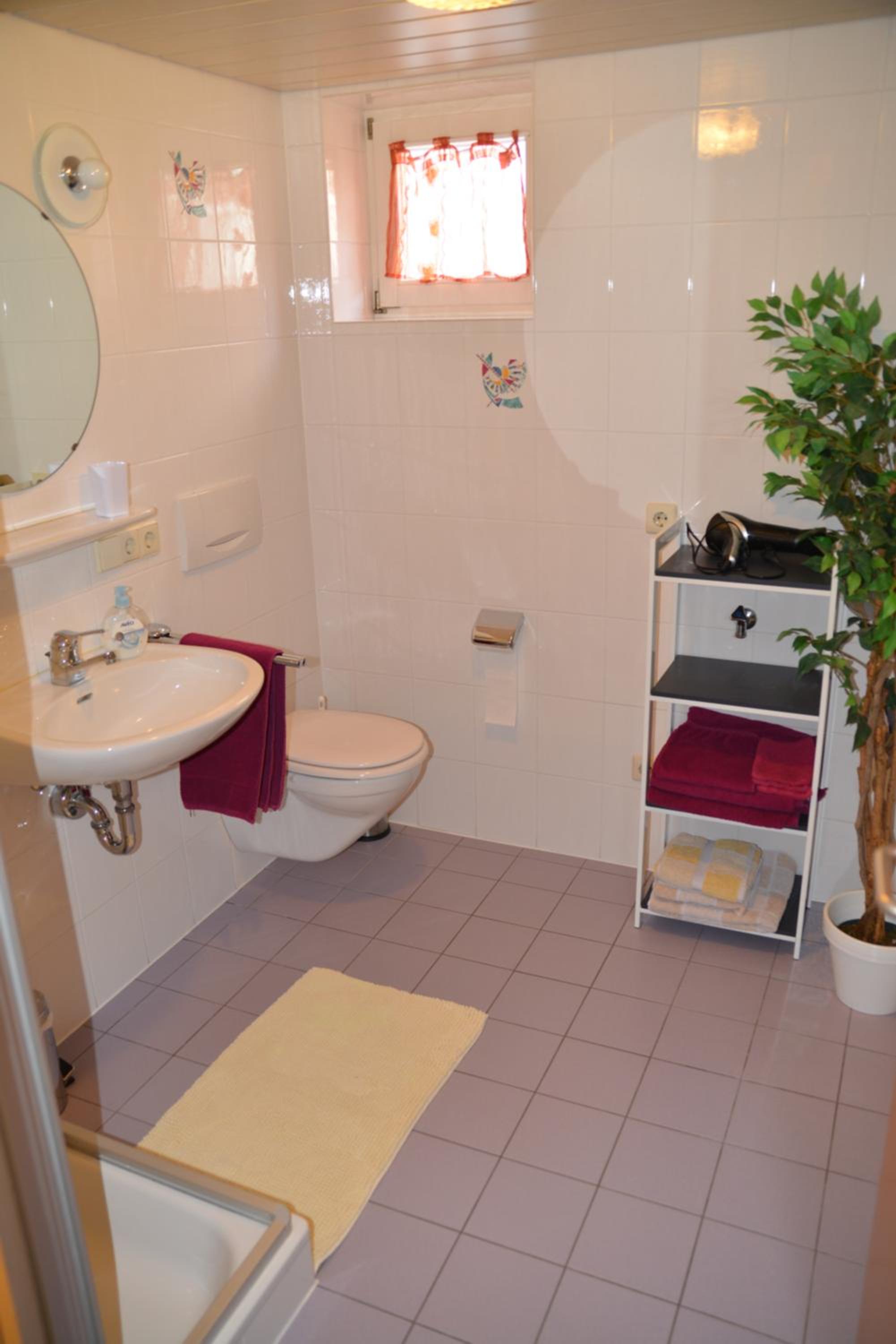 One-Bedroom Apartment photo 3