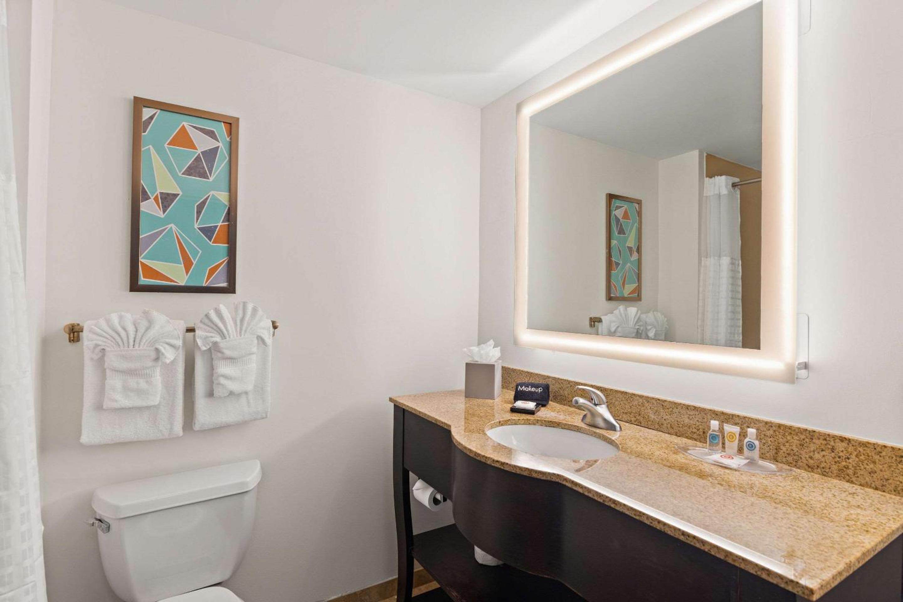 King Suite with Sofa Bed - Photo 4