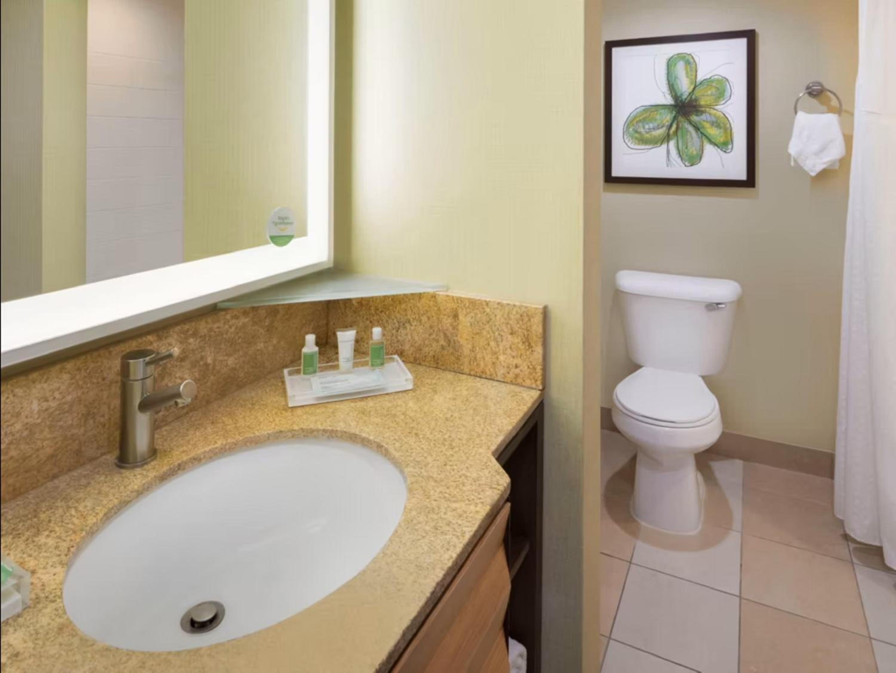 King Suite - Non-Smoking photo 3
