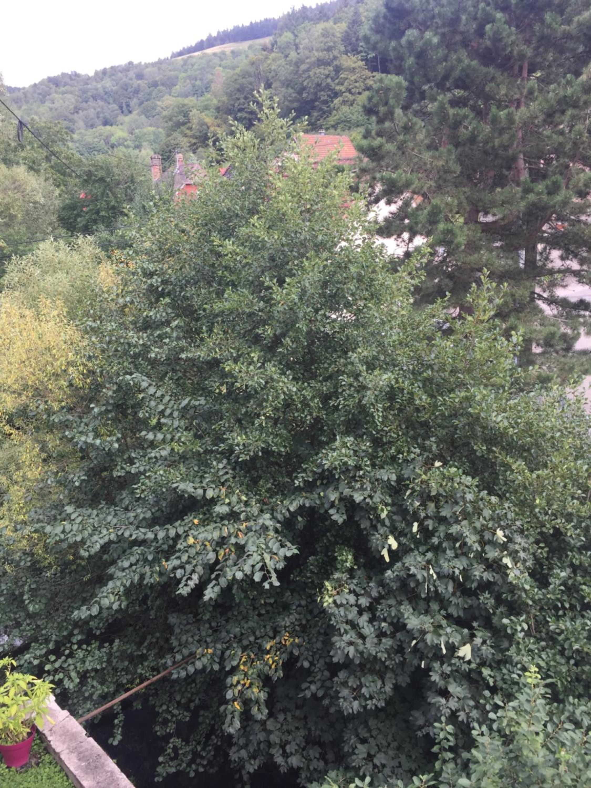 Suite with Mountain View - Photo 18