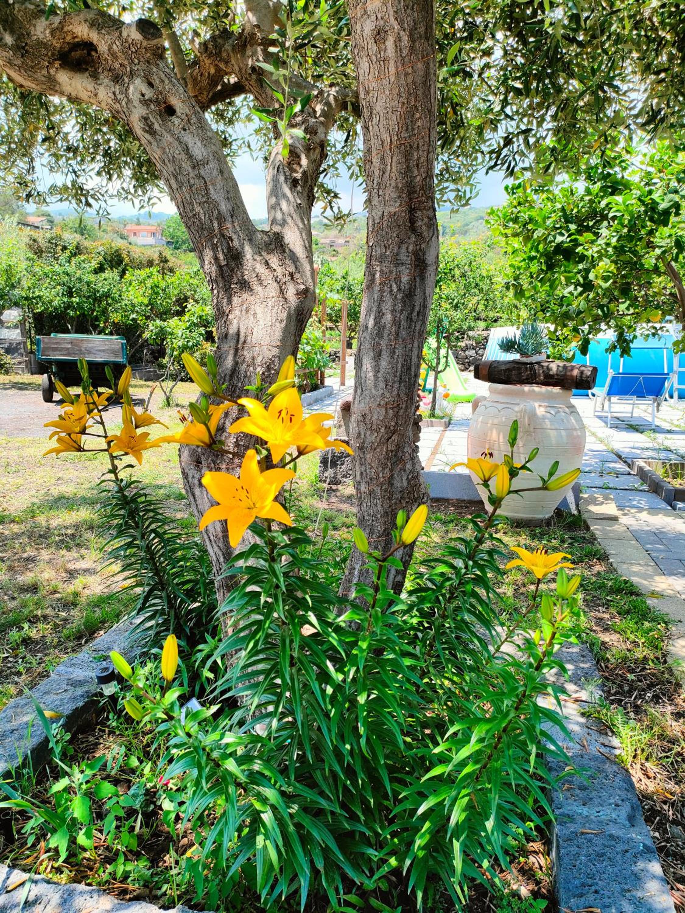 Vacation Home photo 3