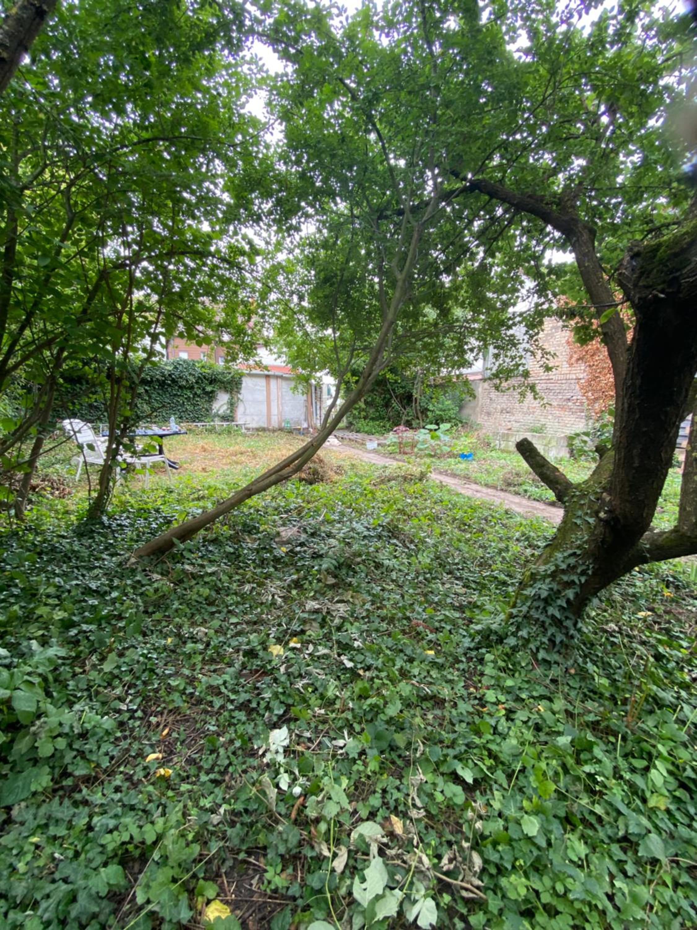 Apartment with Garden View photo 3