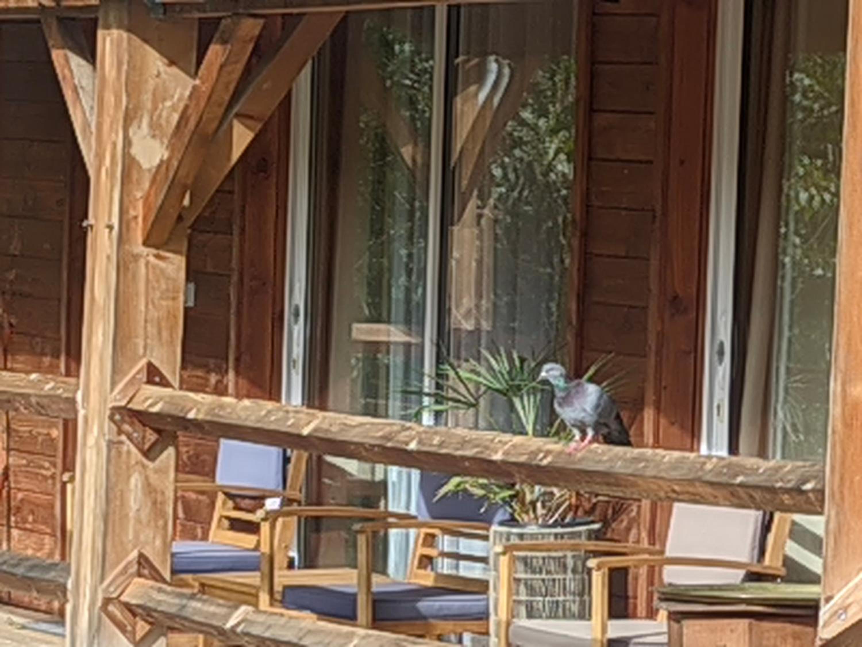 Double Room with Mountain View - Photo 8