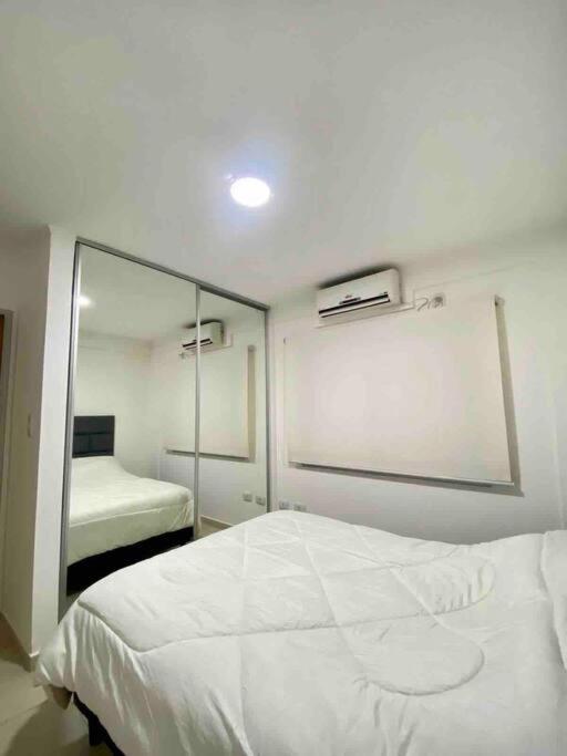 One-Bedroom Apartment photo 3