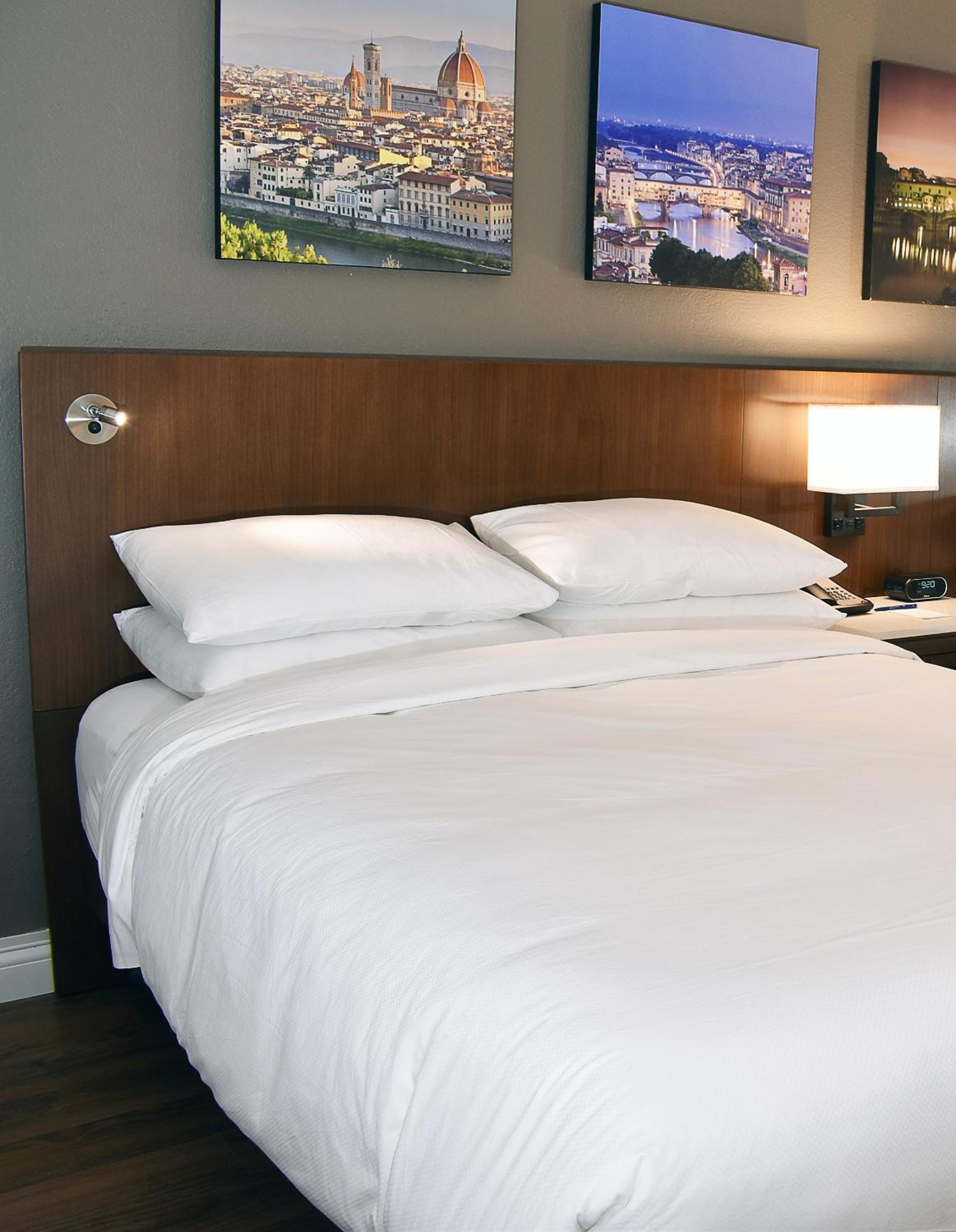 Queen Room with Queen Bed and Transfer Shower - Mobility and Hearing Accessible photo 1