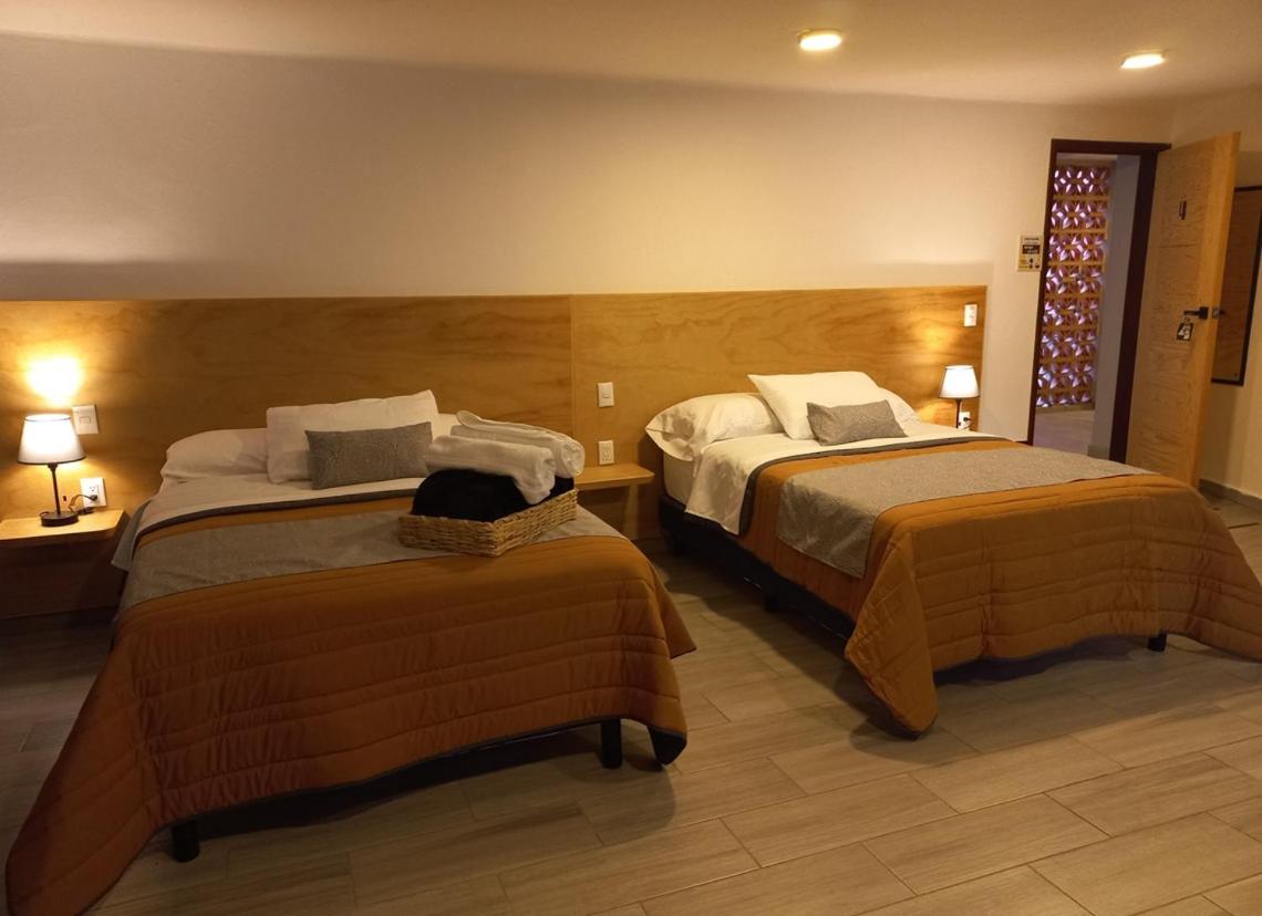 Double Room with Two Double Beds