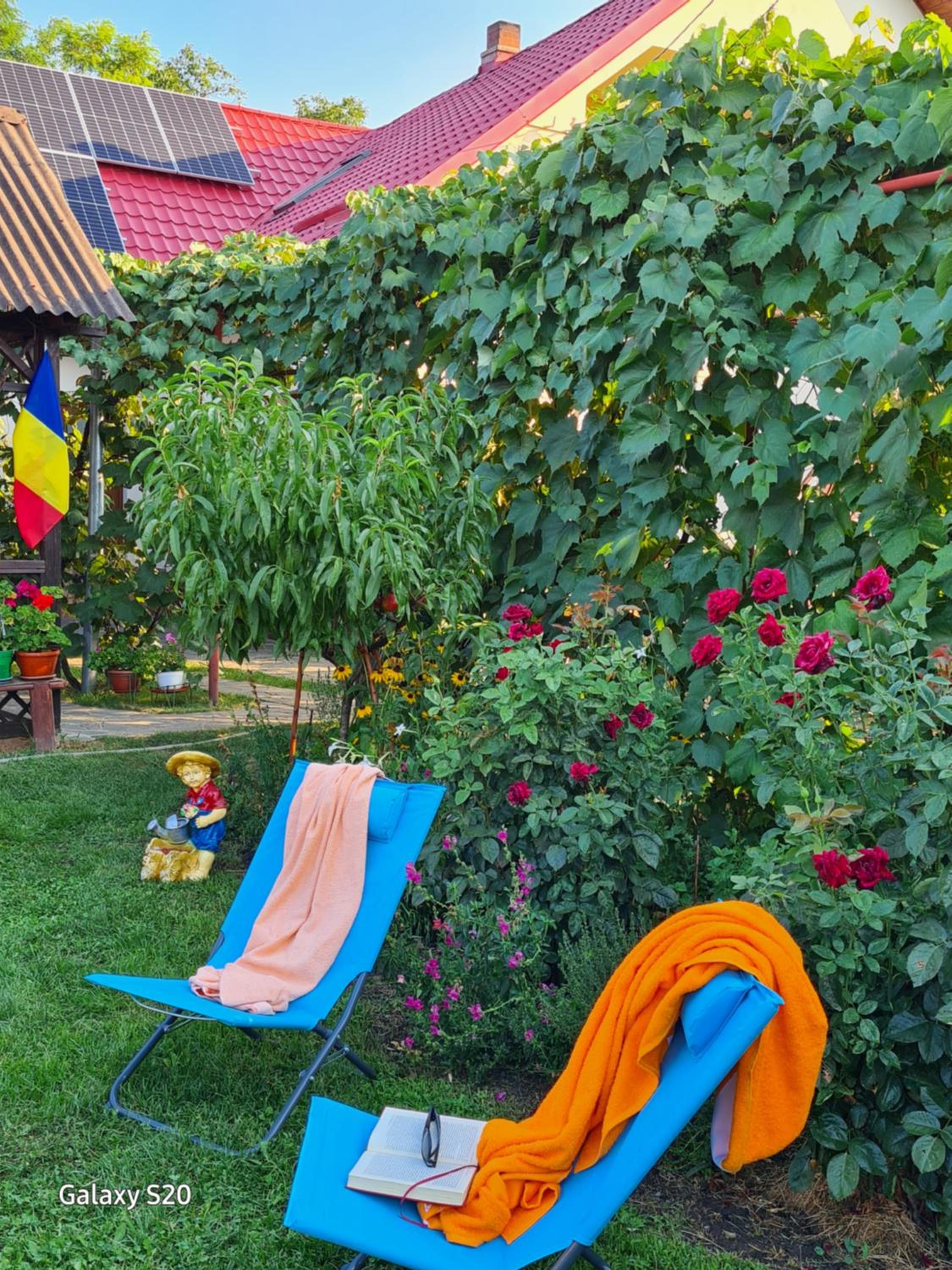 Double Room with Garden View photo 1