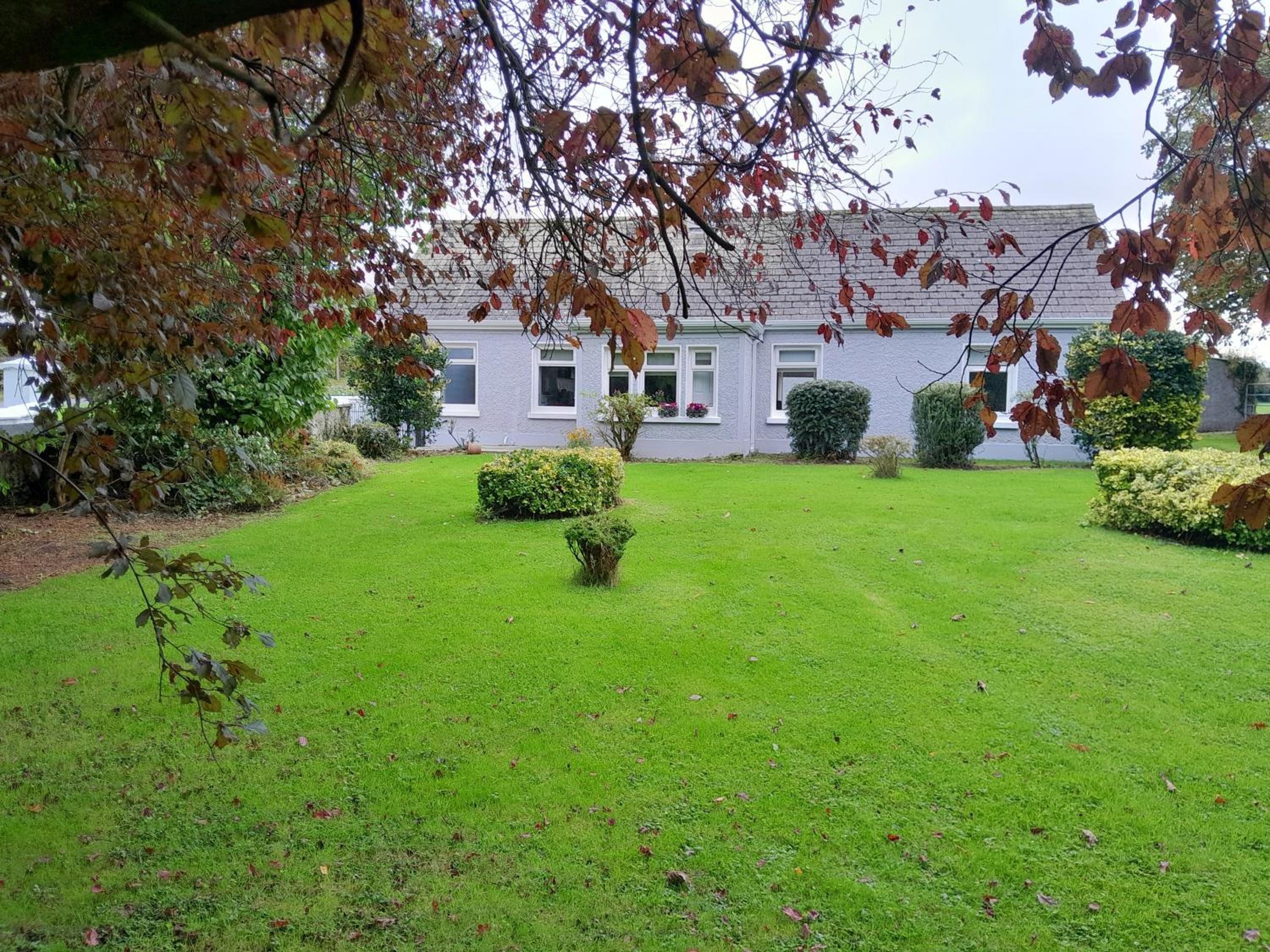 Three-Bedroom House photo 2