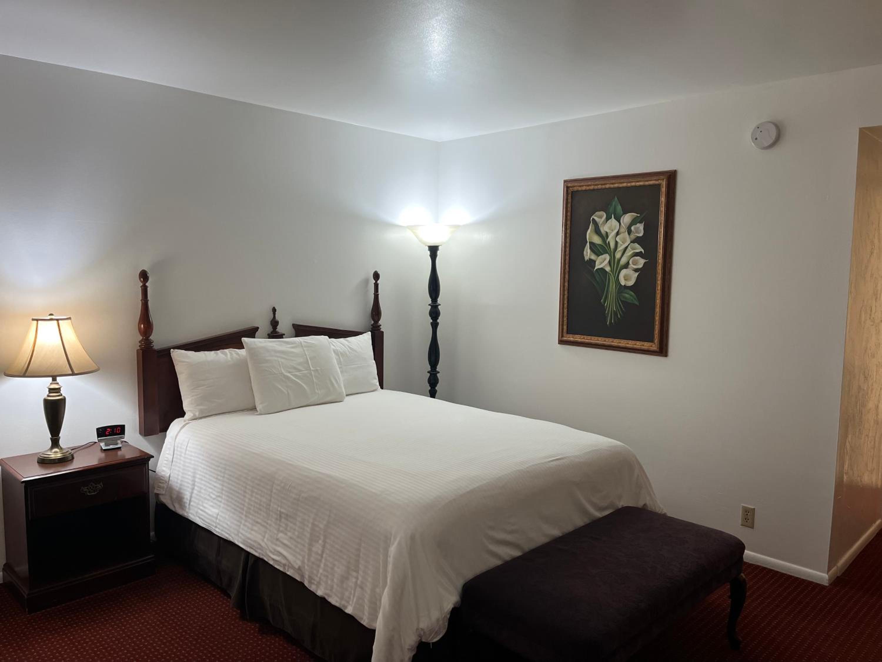 Queen Room - Photo 1