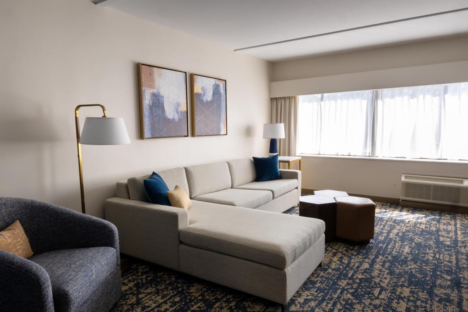 Premium Junior King Suite - Photo 8