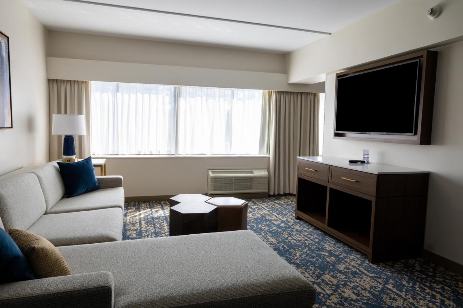 Premium Junior King Suite - Photo 7