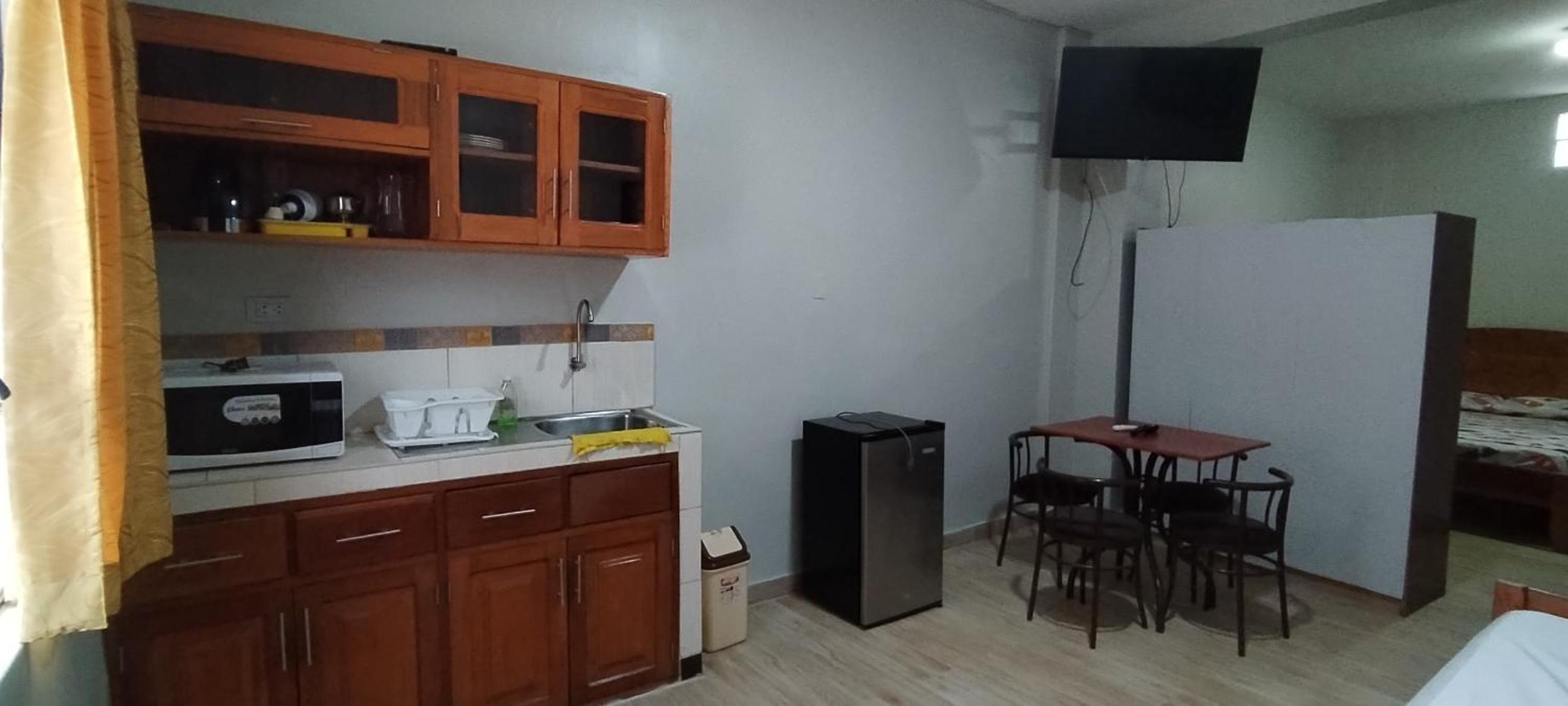 One-Bedroom Apartment photo 3