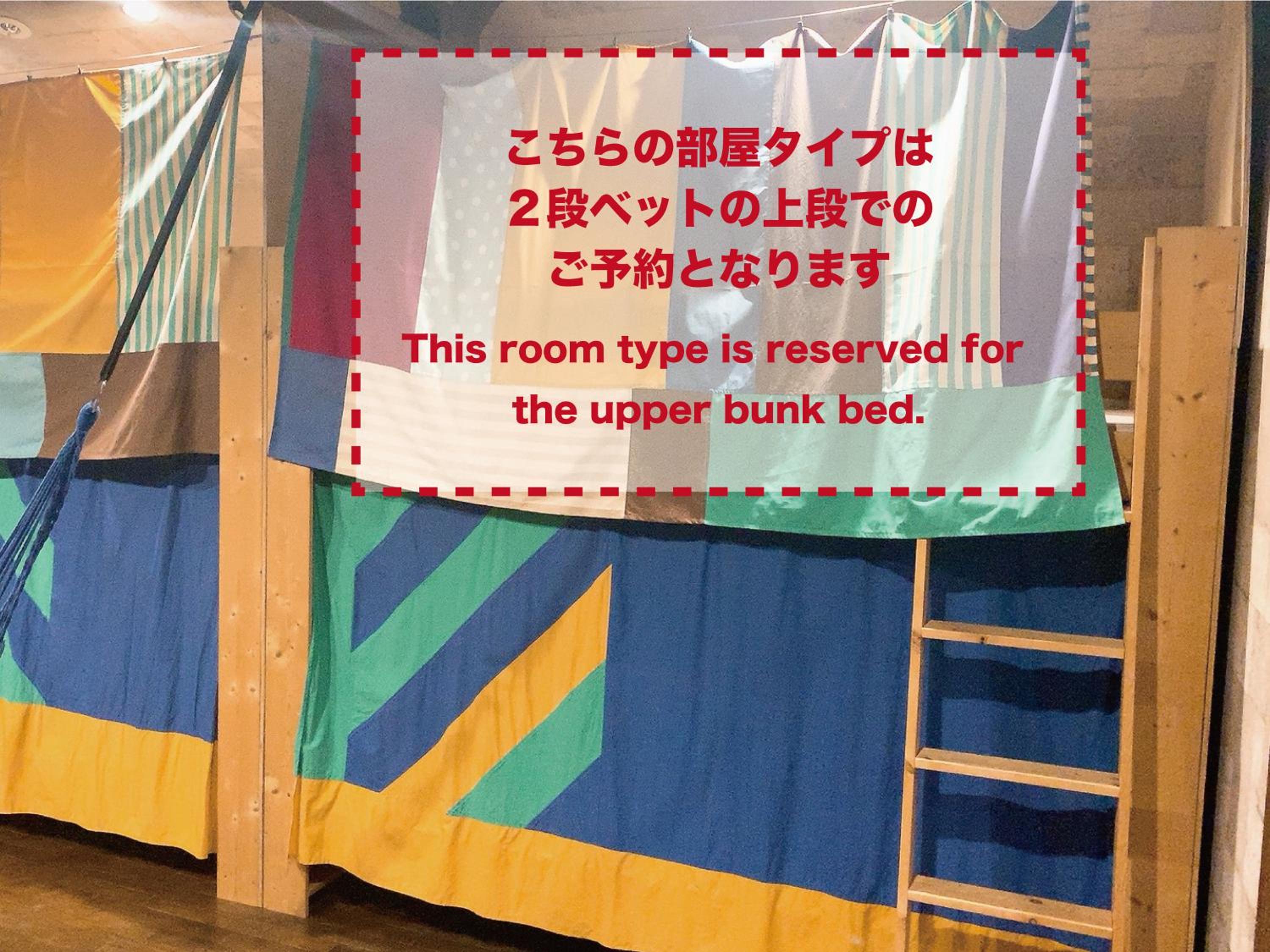 Bunk Bed In Mixed Dormitory Room photo 3