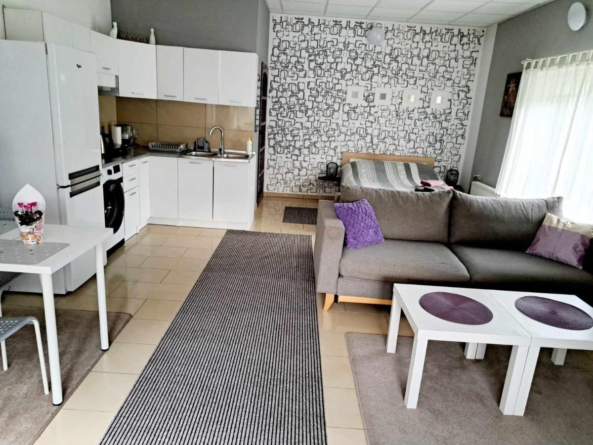 One-Bedroom Apartment - Photo 17