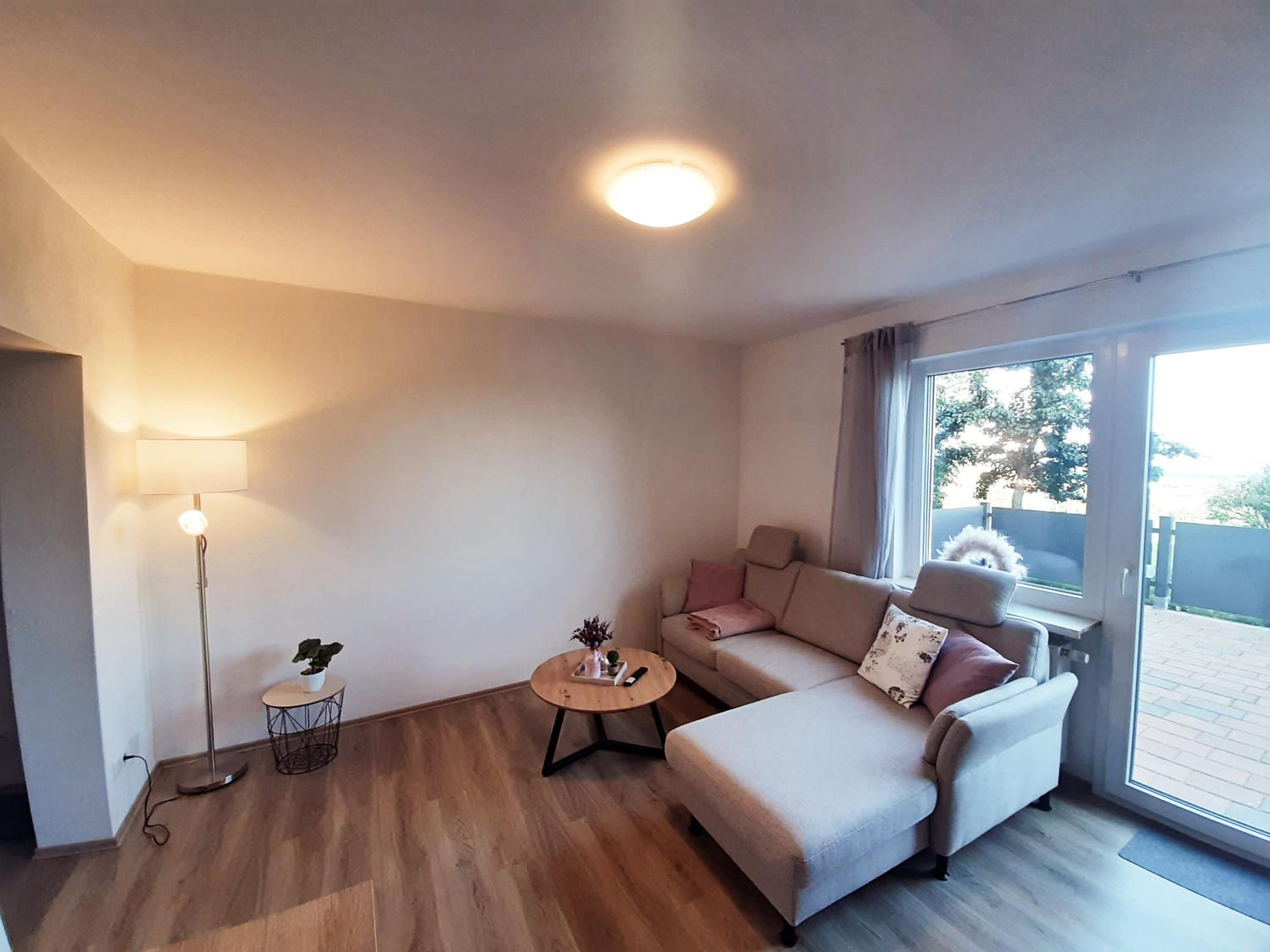 Apartment with Terrace photo 2