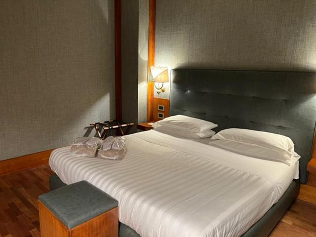Superior Double Room photo 3