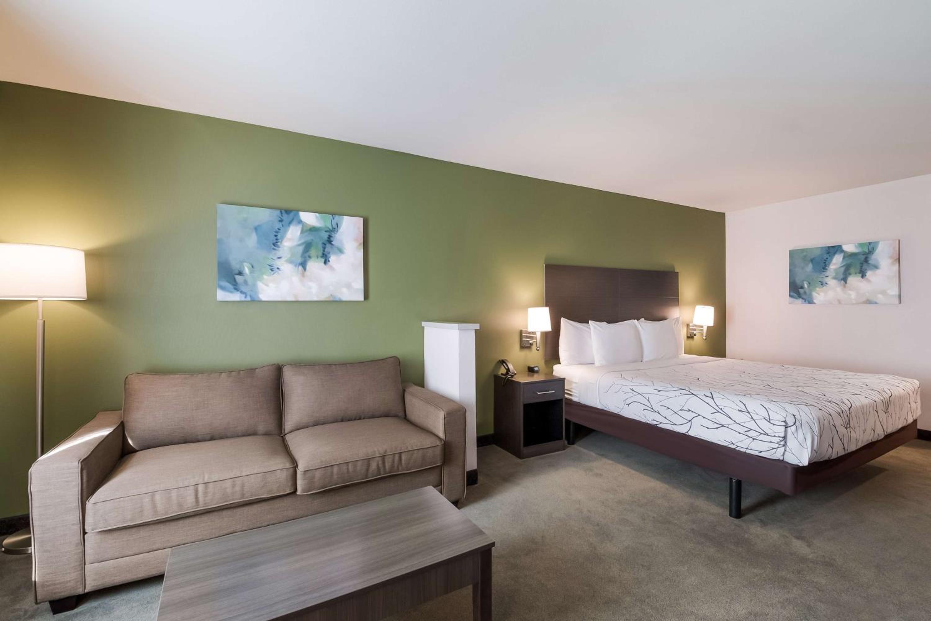 Large King Room - Photo 10