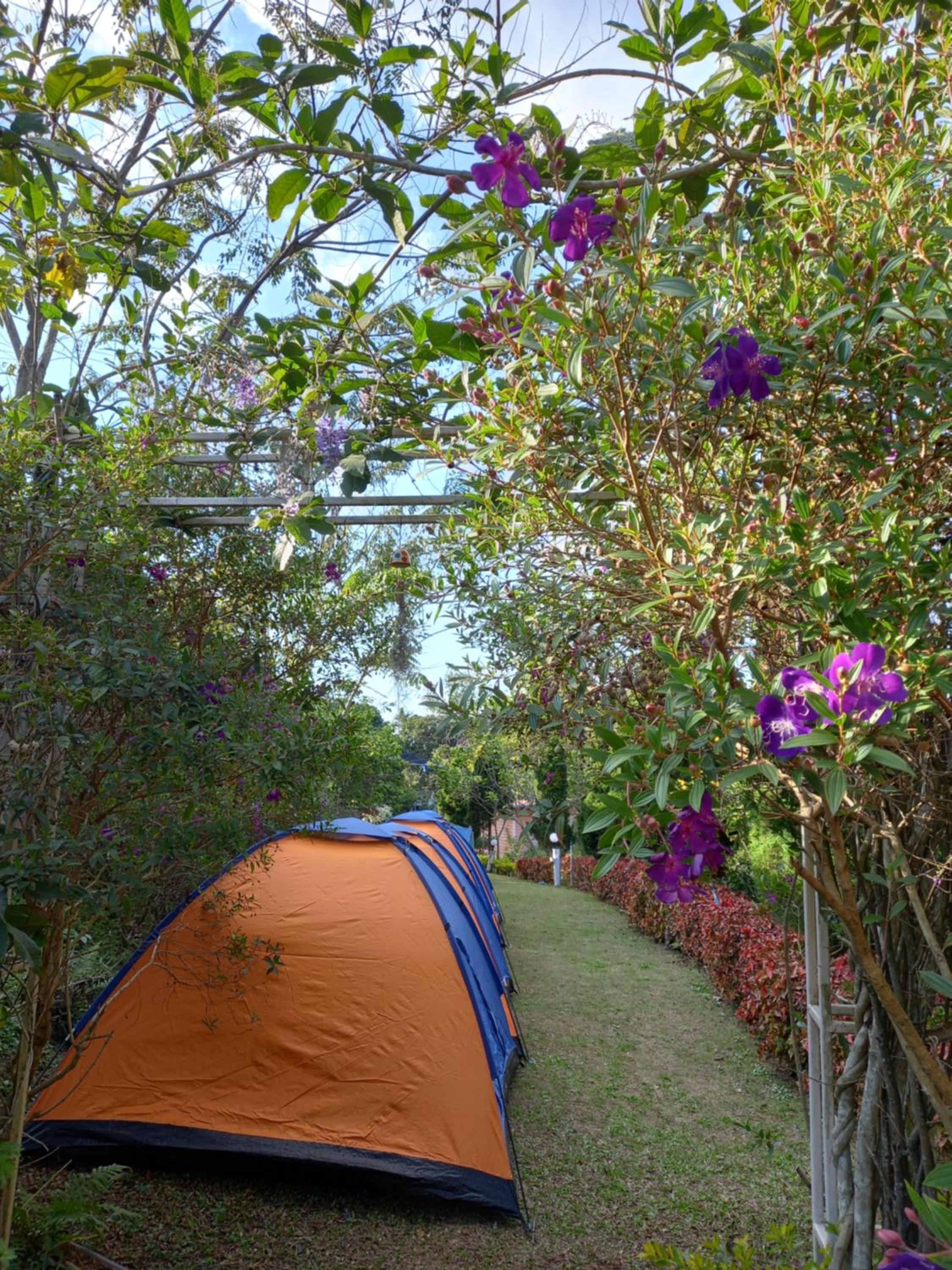 Tent photo 2