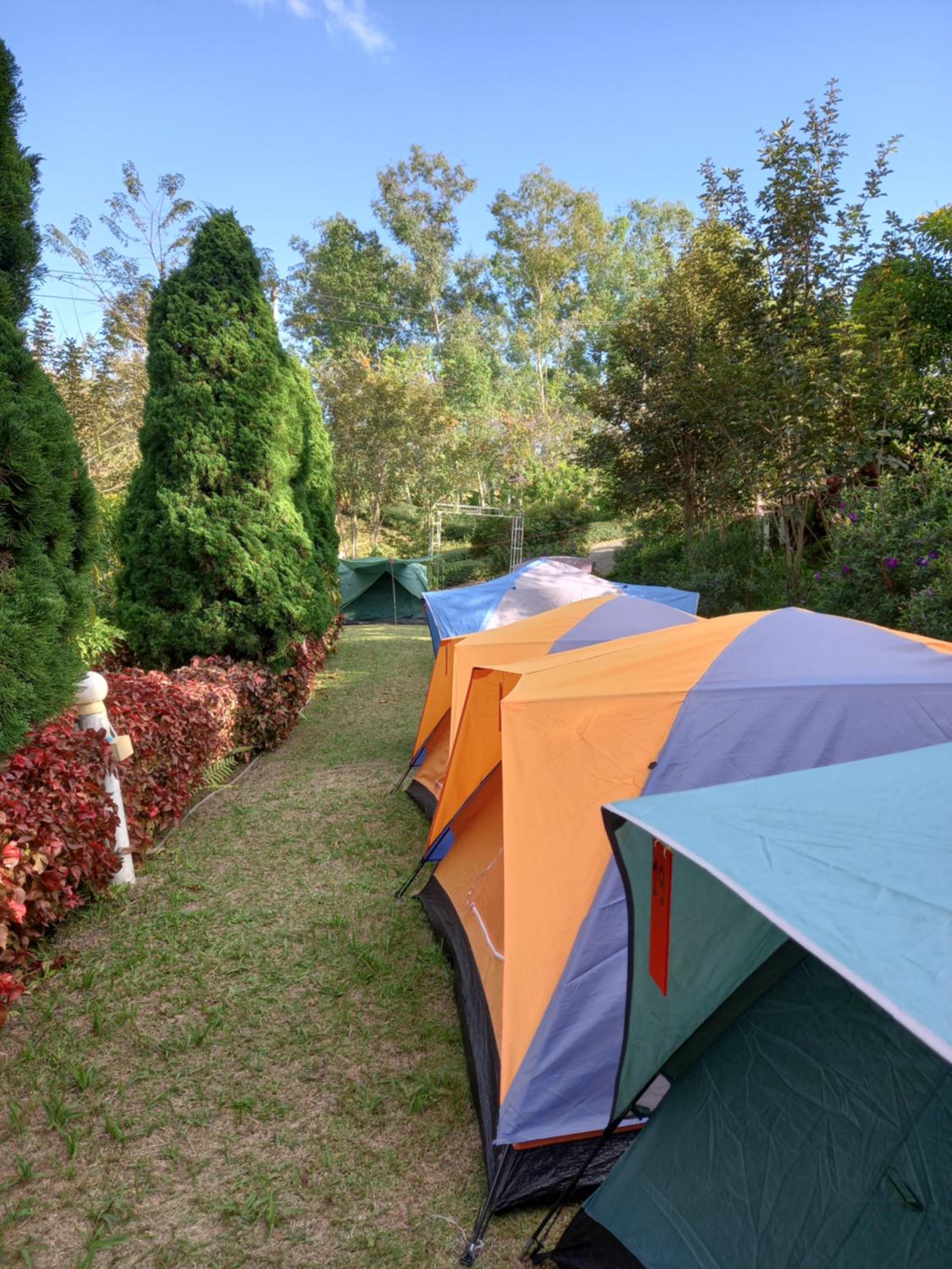 Tent photo 3