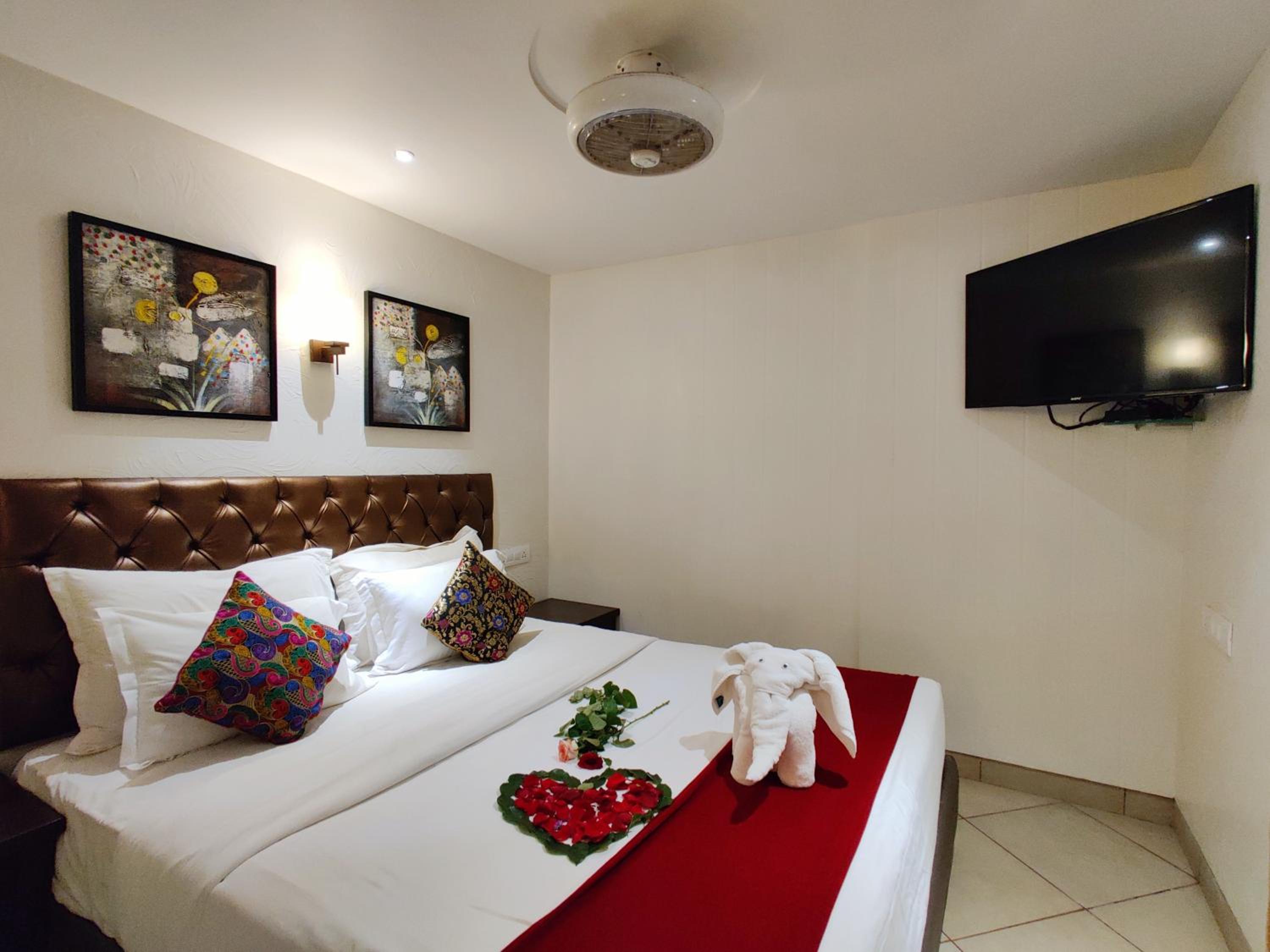 Suite - Photo 2