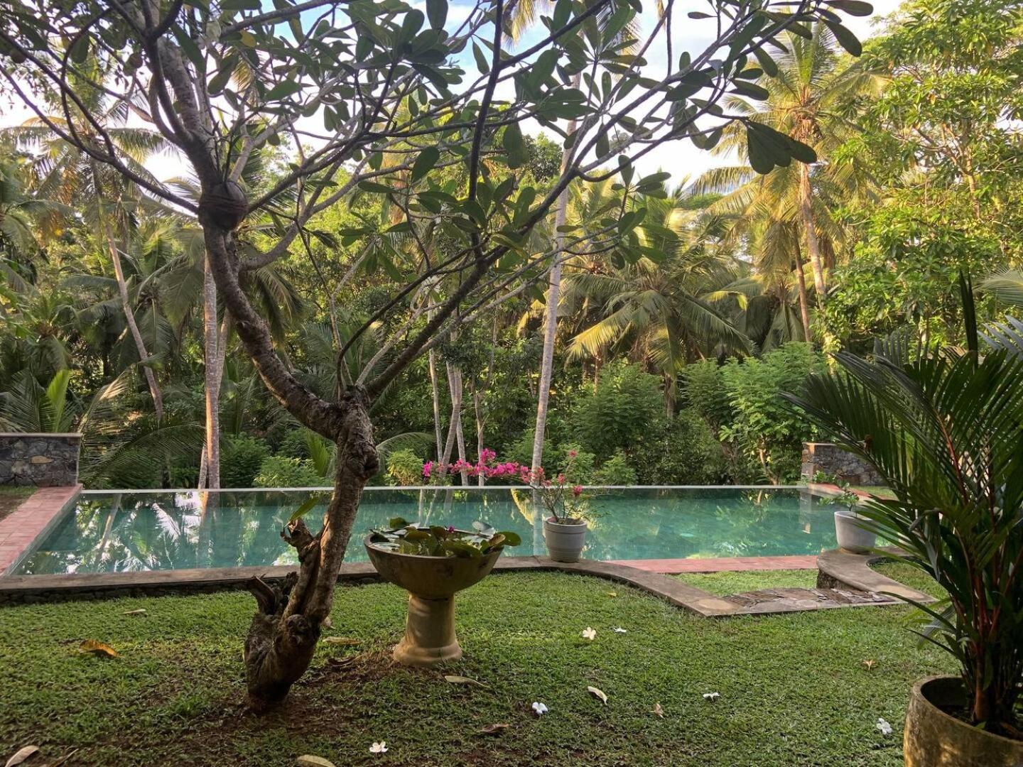 Queen Room with Pool View photo 1