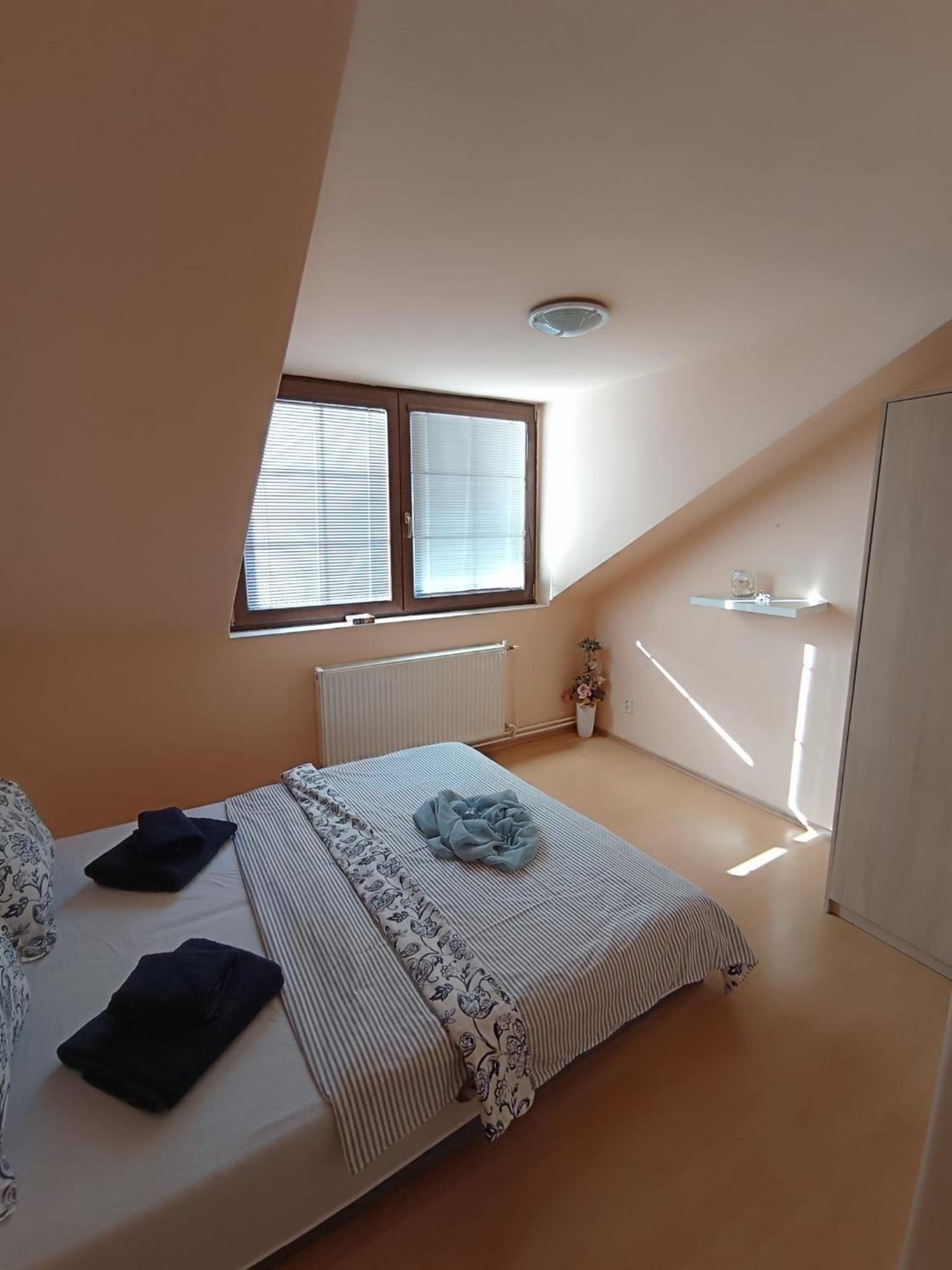 Twin Room photo 3